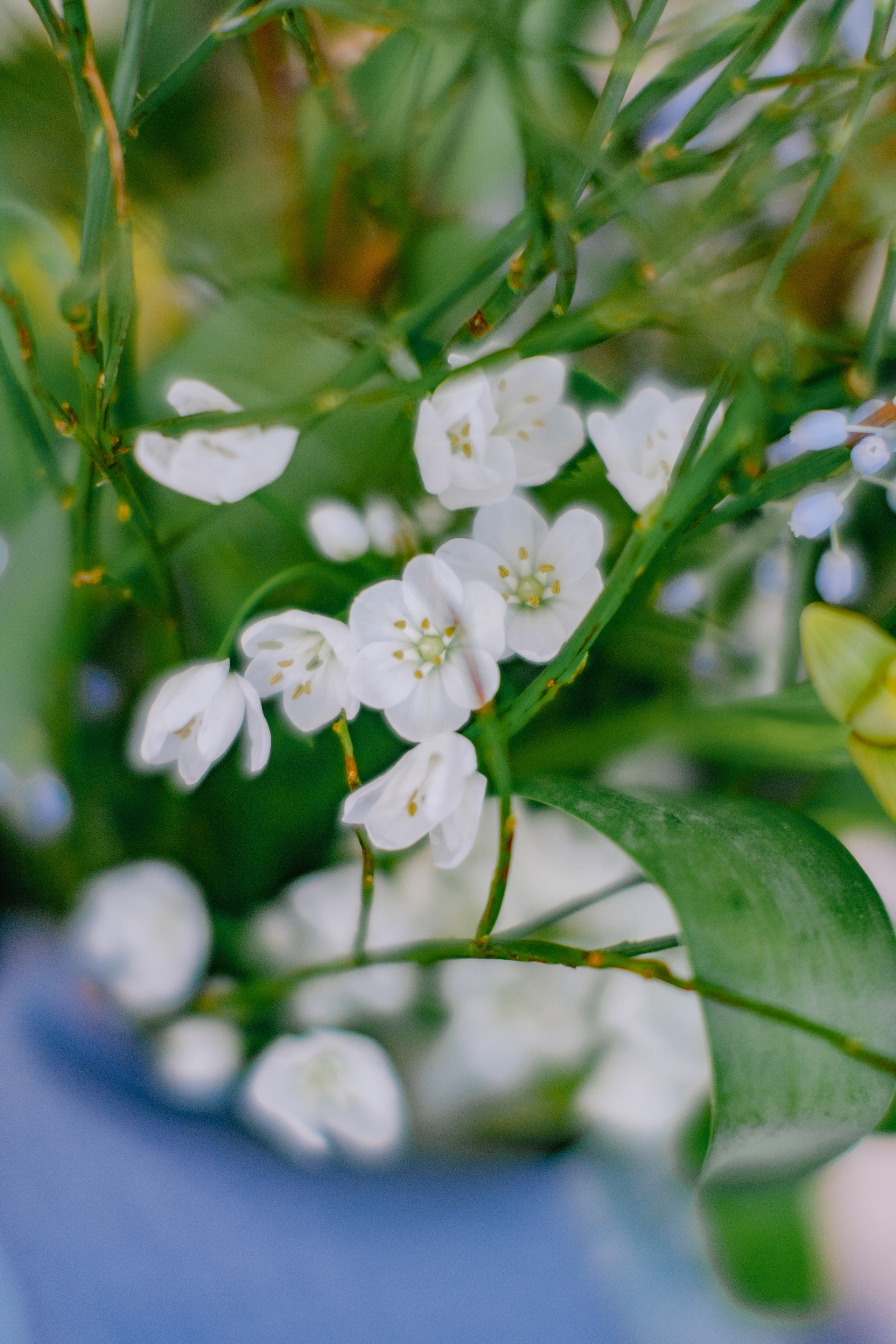 Айк и Юлия. Свадебный Видеограф Фотограф в Сочи