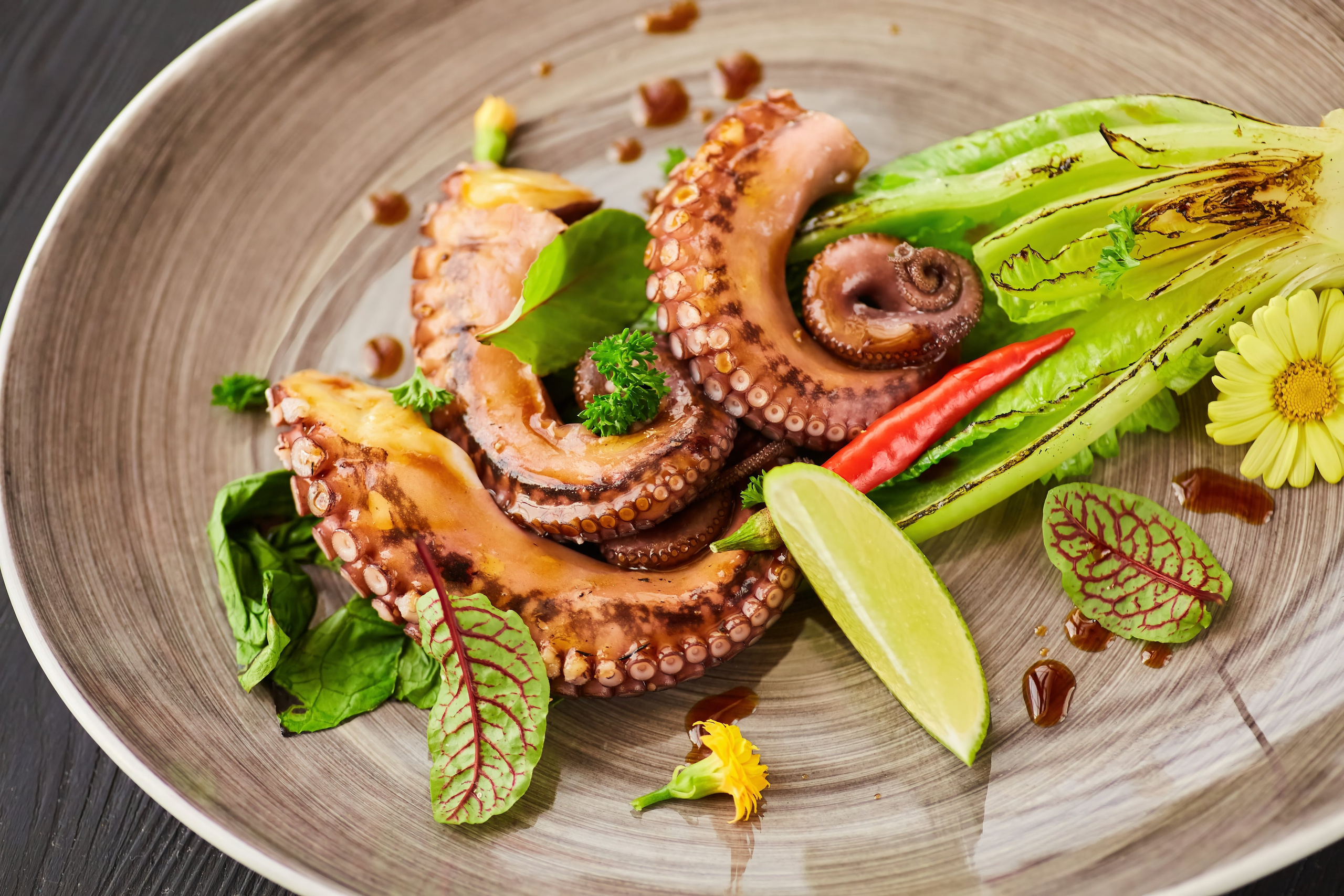 Меню ресторана Шампань. Фотохудожник Наталия Кирсанова