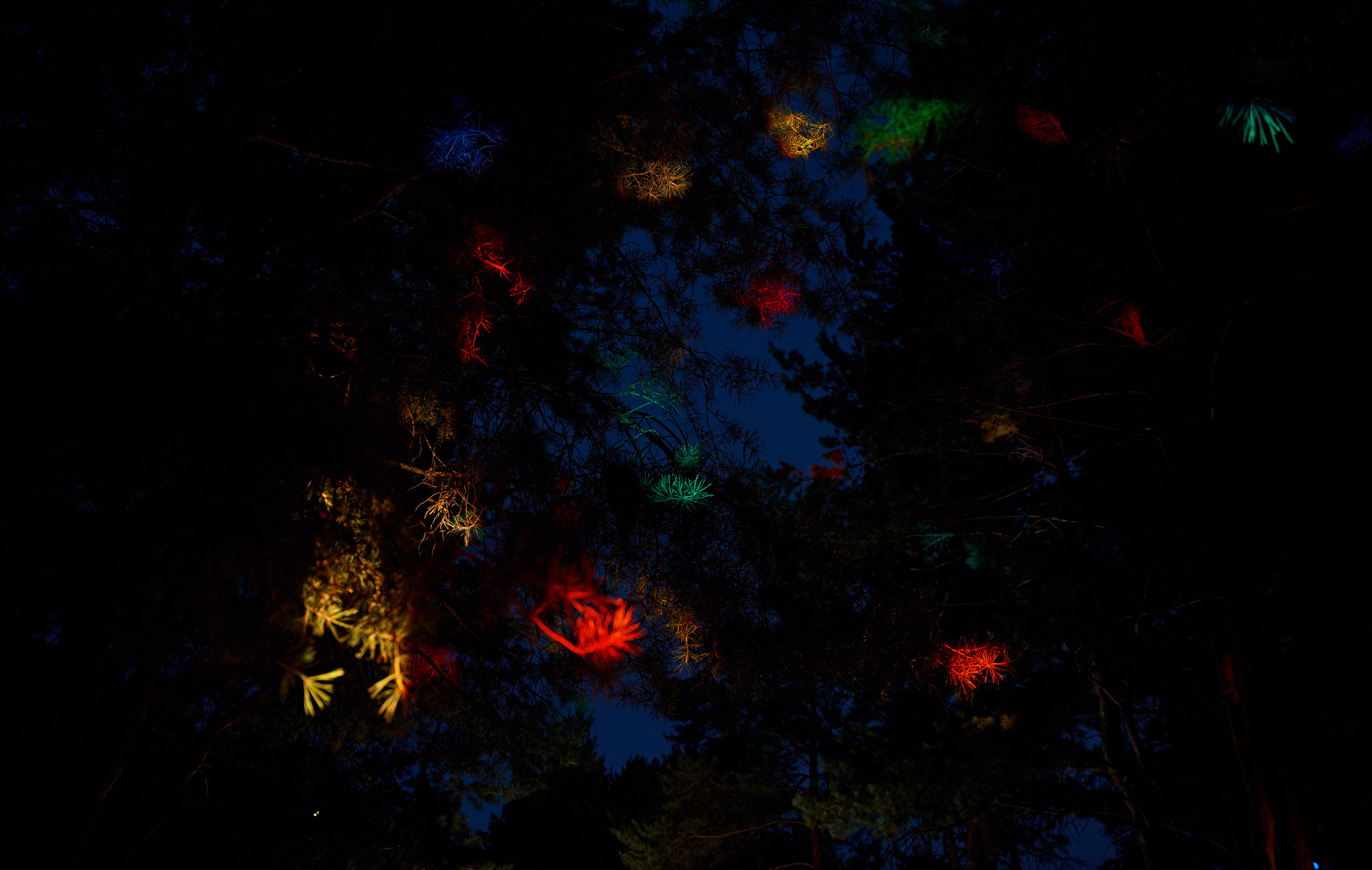 Юра и Марина. Фотограф в Саранске Дмитрий Емелин