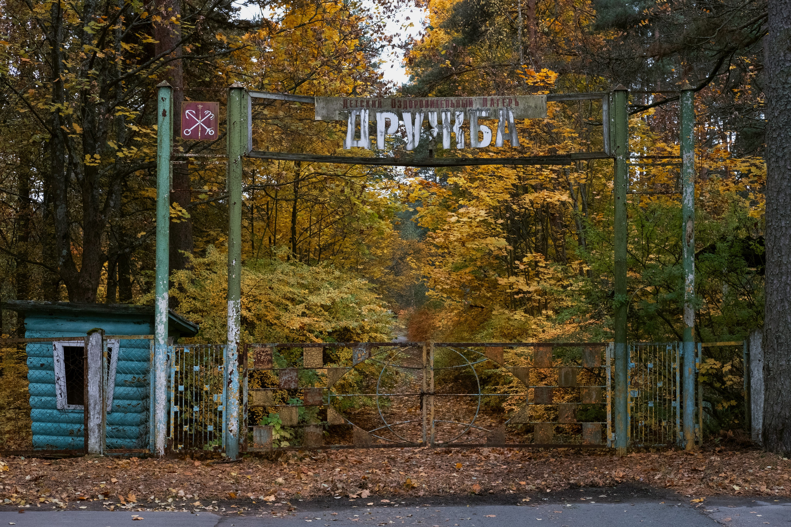 Пионерлагеря. Курочкина Софья