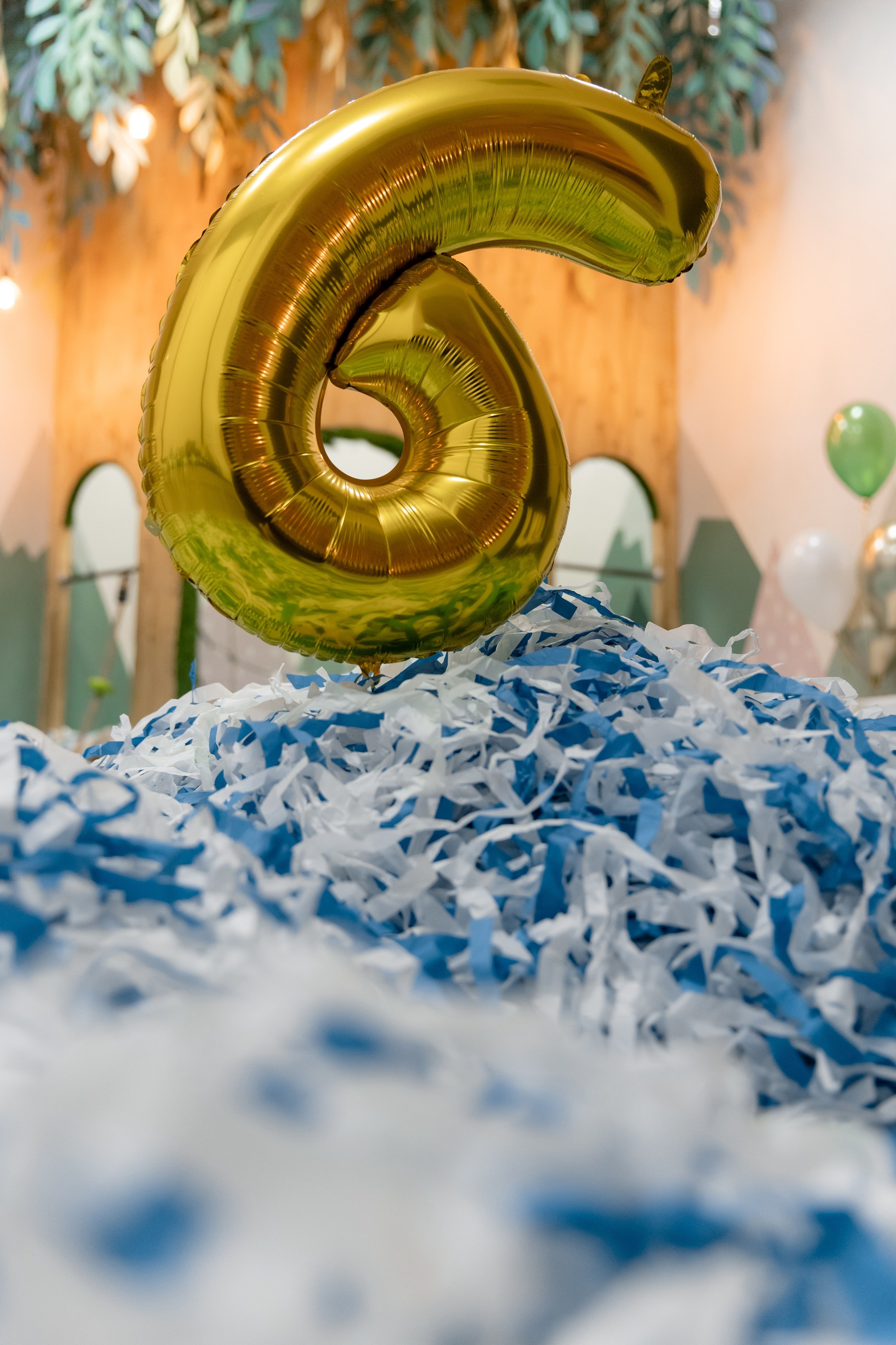 Вера 6 лет. Фотограф Роман Полянин