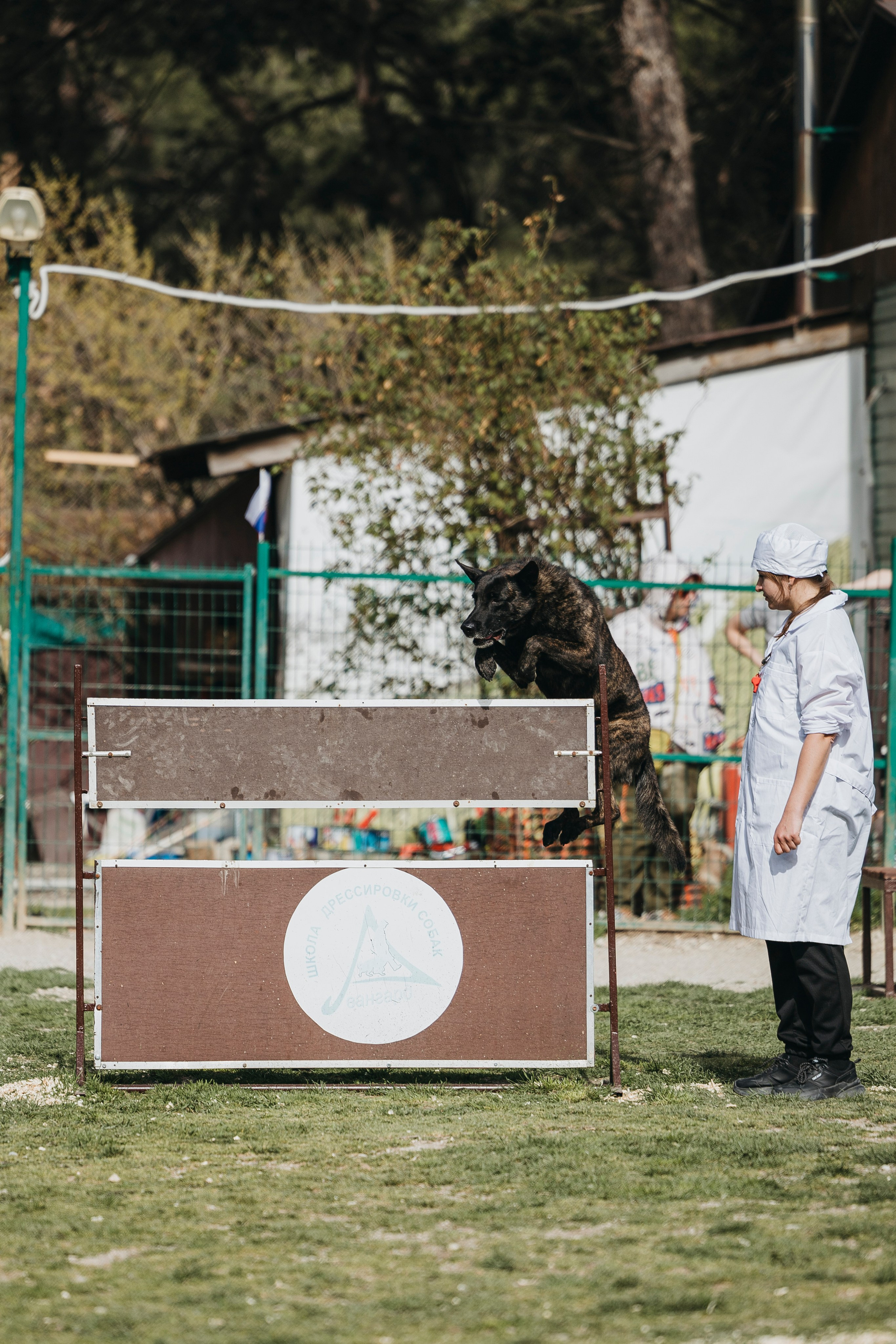 Геленджик Мондьоринг. Фотограф-анималист Анна Маринич