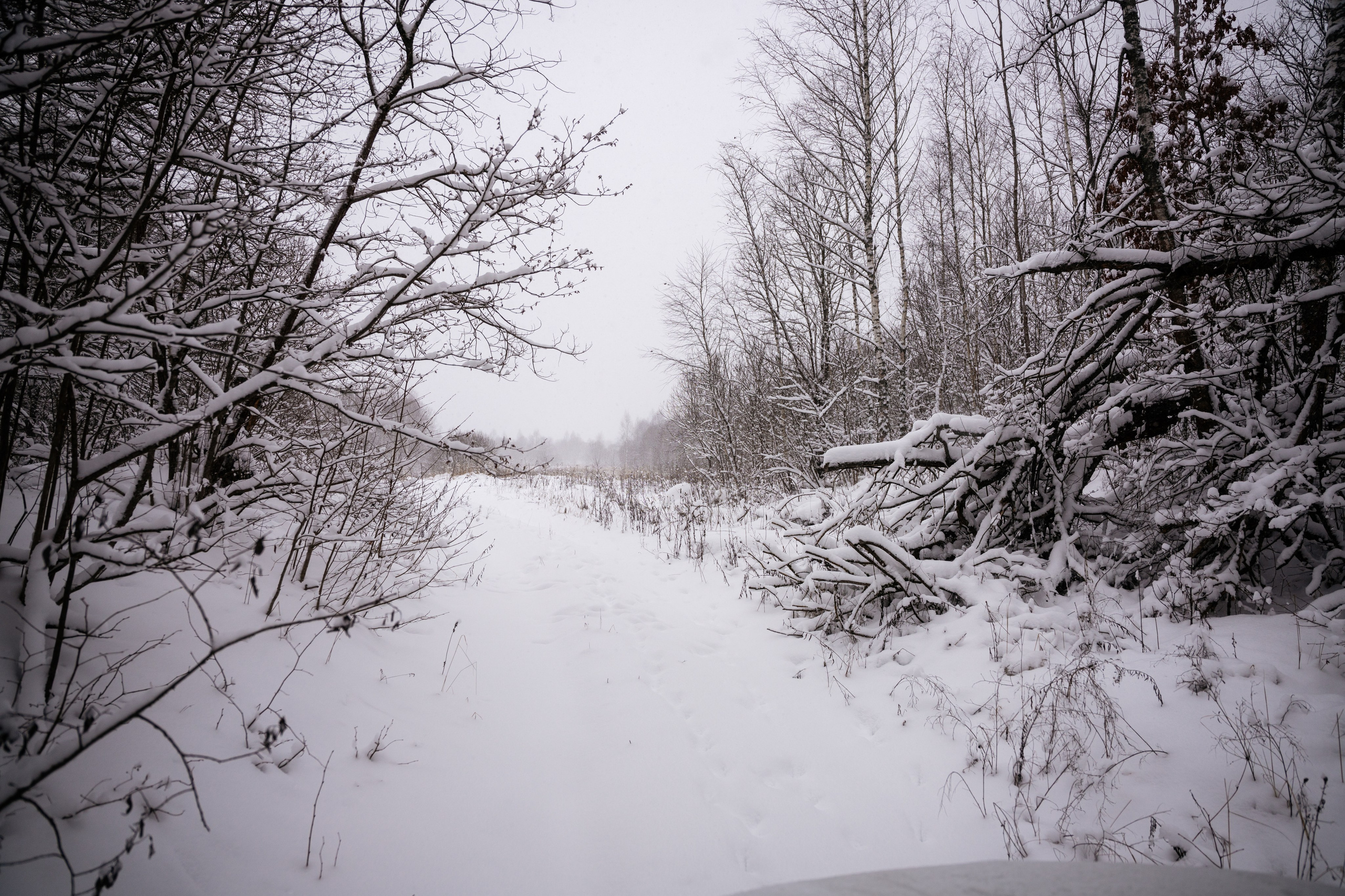 Поездка к р. Песочня и деревне Раевское. Vlad Trykov