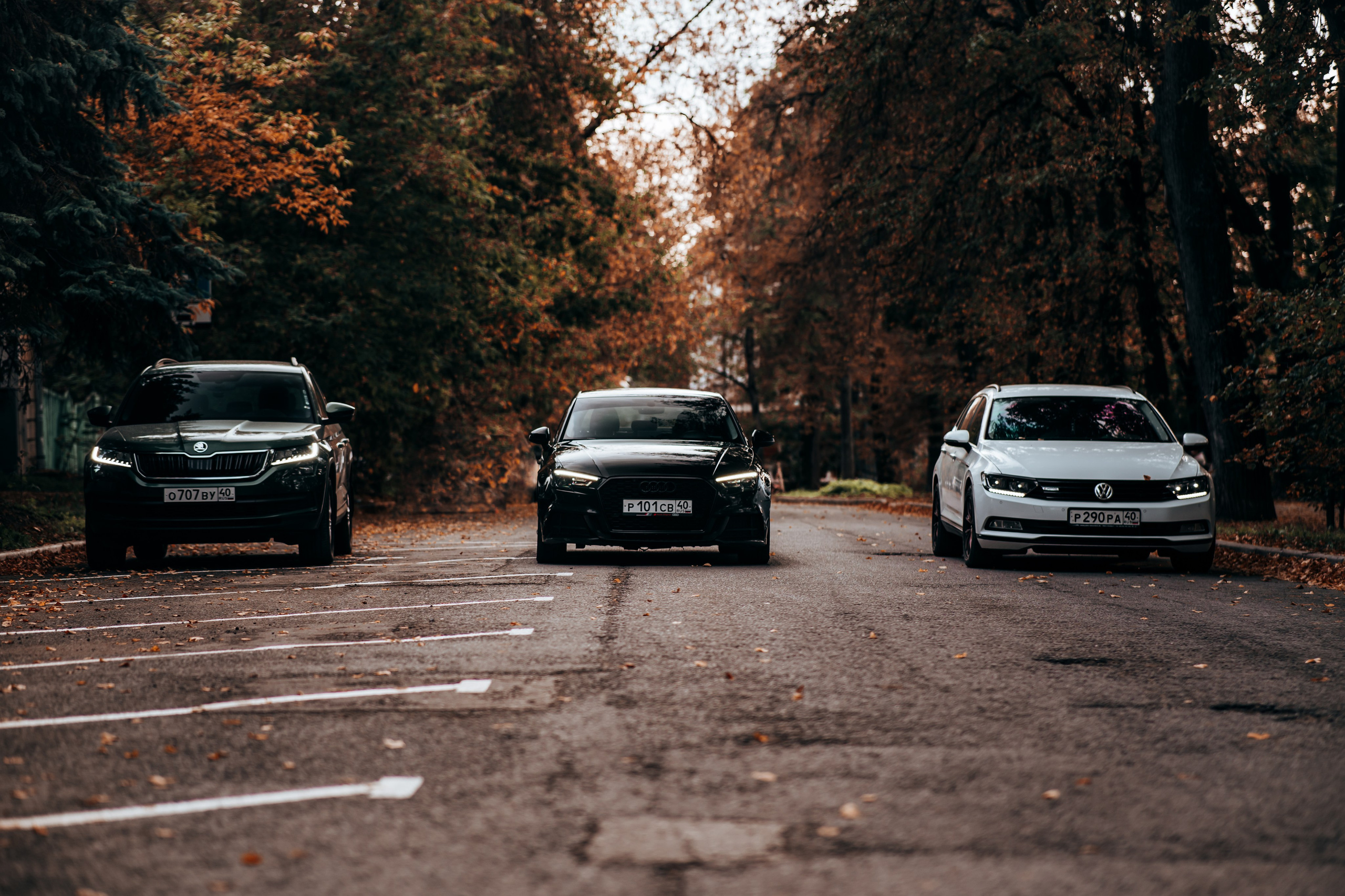 Skoda Kodiaq. Vlad Trykov