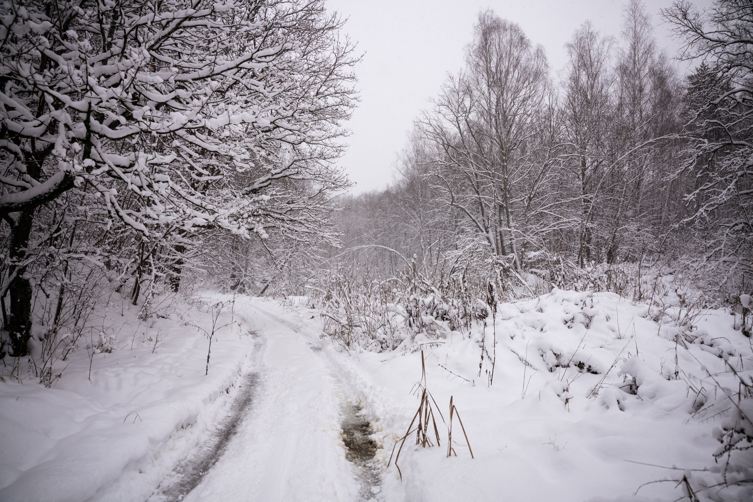 Поездка к р. Песочня и деревне Раевское. Vlad Trykov