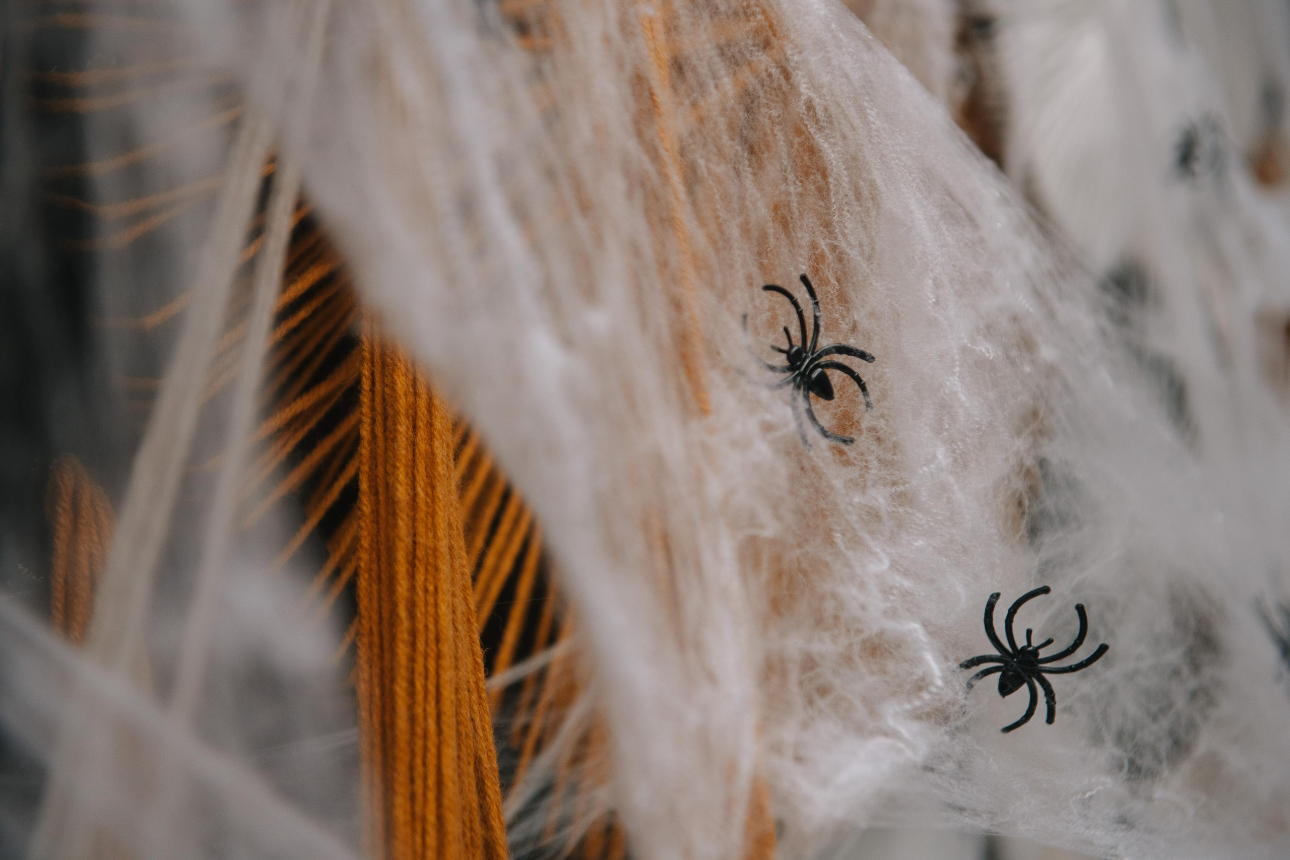 Гастродвор бранч на Хеллоуин. Фотограф Валерия Голубева (Миронова)