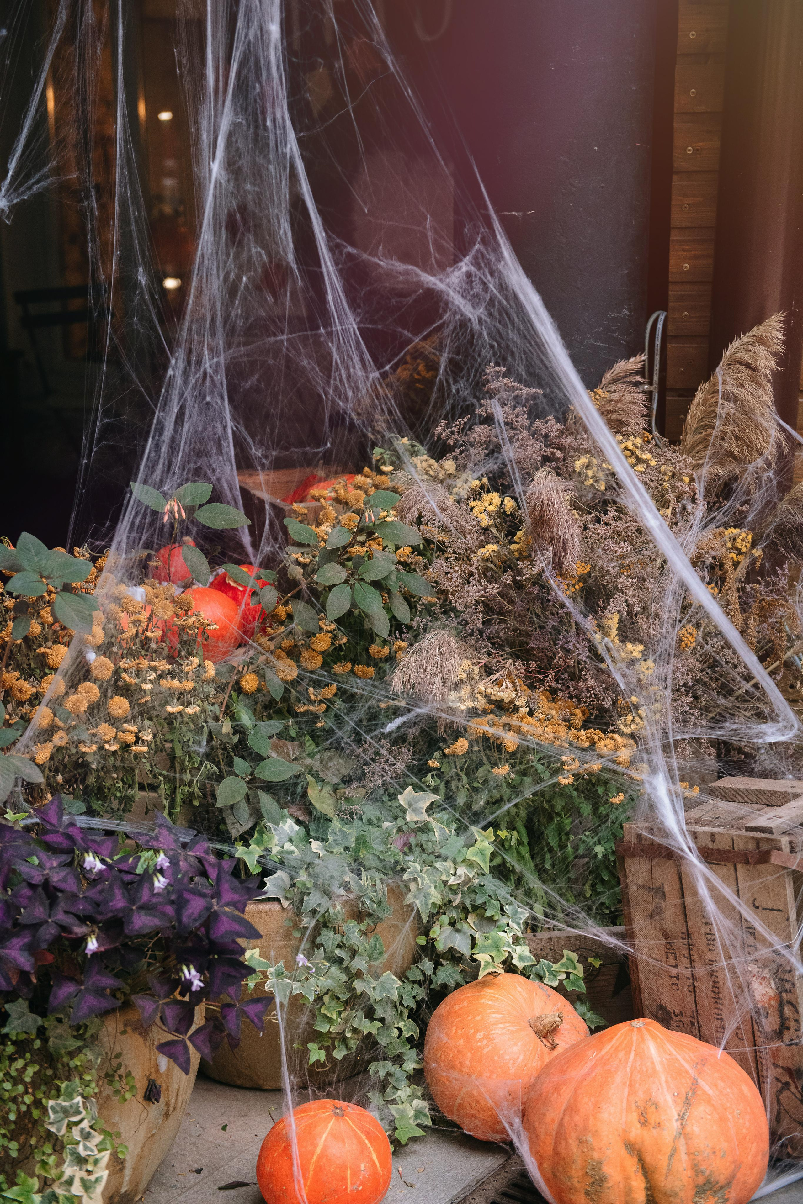 Гастродвор бранч на Хеллоуин. Фотограф Валерия Голубева (Миронова)