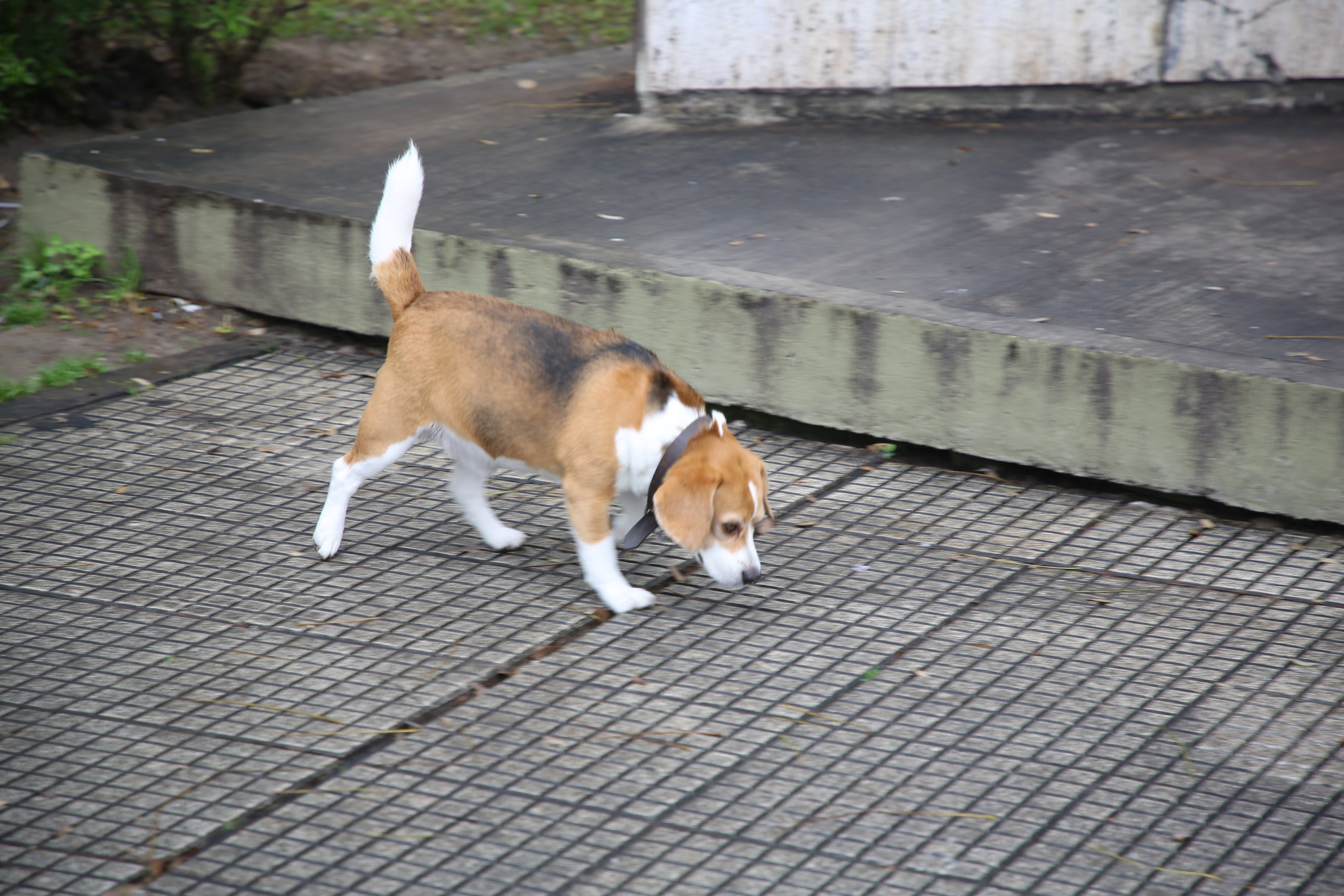 Buenos Aires, Argentina. Andrey Filippov Photographer