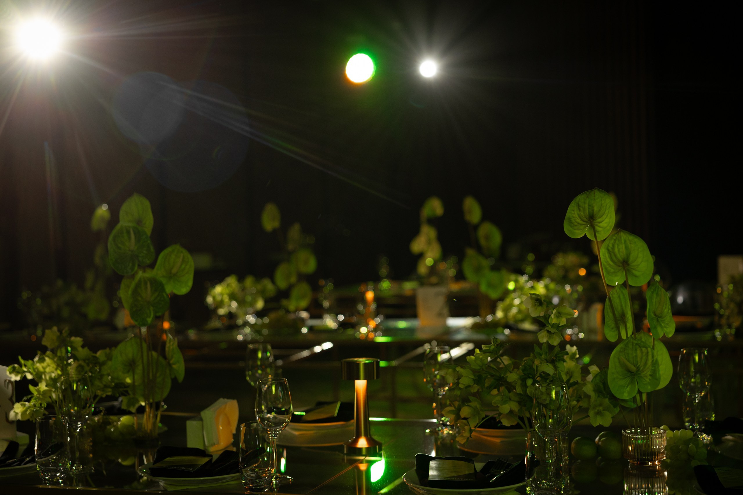 В/В. Вебер Юлия фотограф Ростов-на-Дону