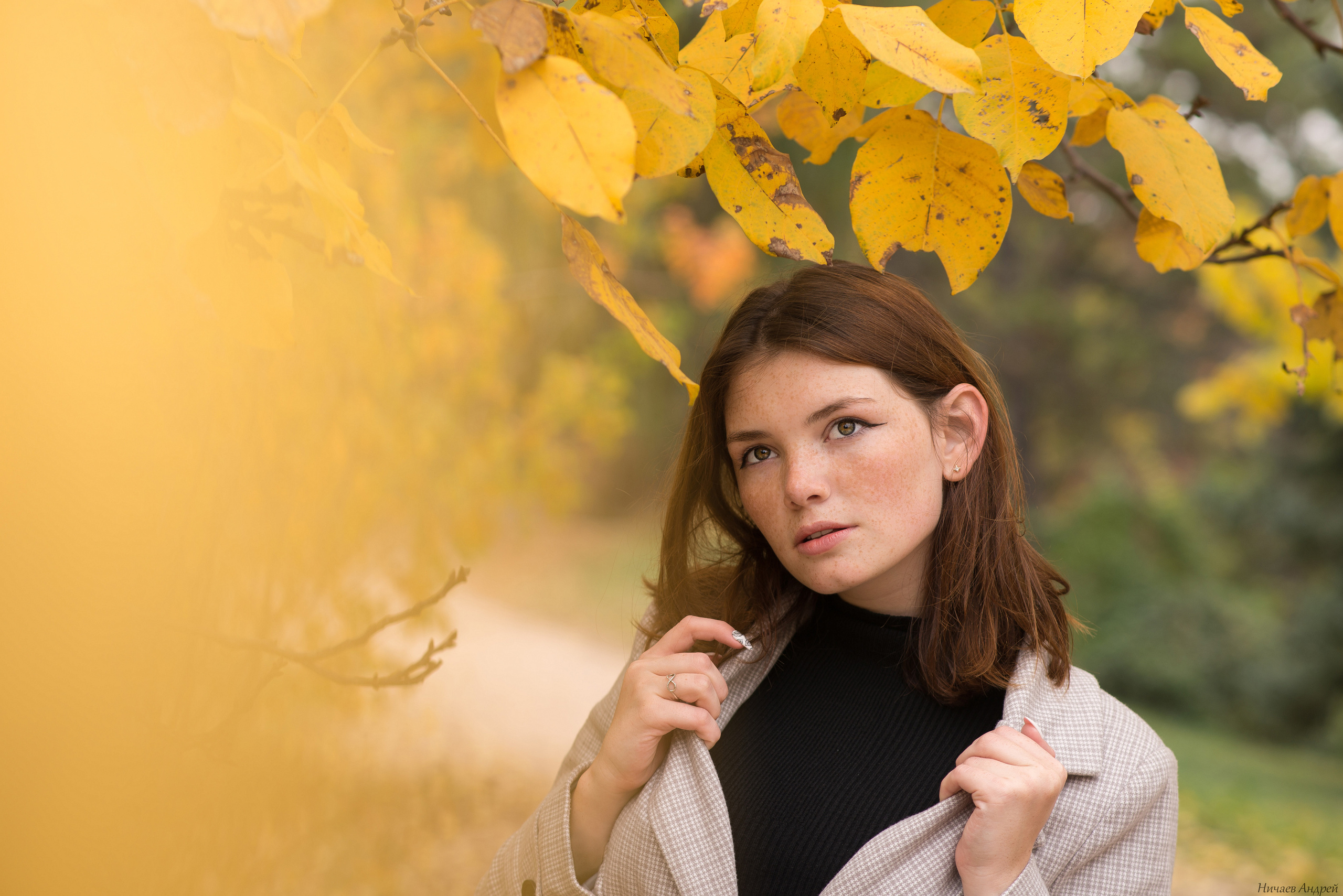 Город Симферополь, место: парк ТНУ. 29.10.2020. Фотограф | Крым | Бахчисарай | Симферополь | Севастополь