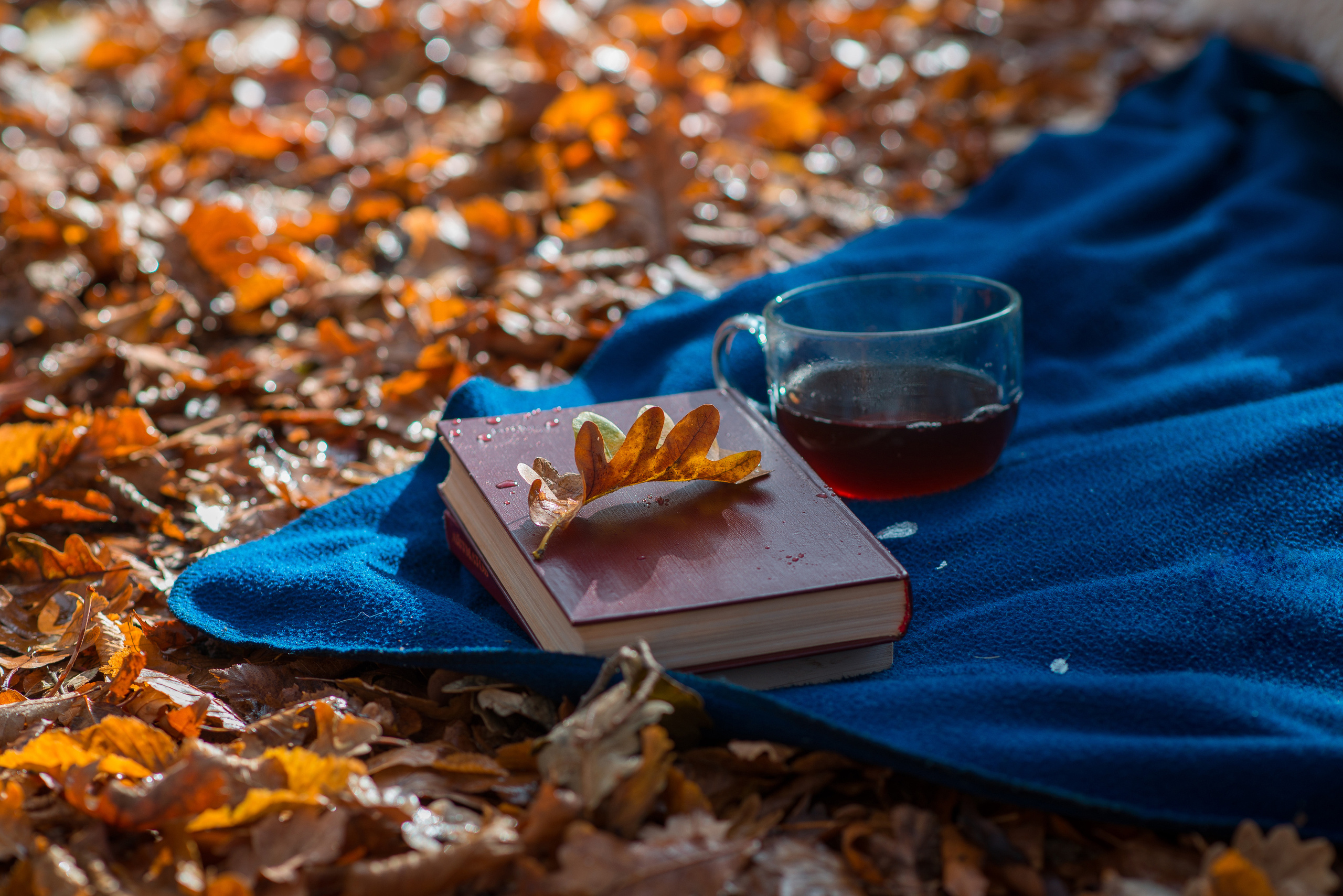 Бахчисарай, по дороге на АЙ-Петри 22.11.2020. Фотограф | Крым | Бахчисарай | Симферополь | Севастополь