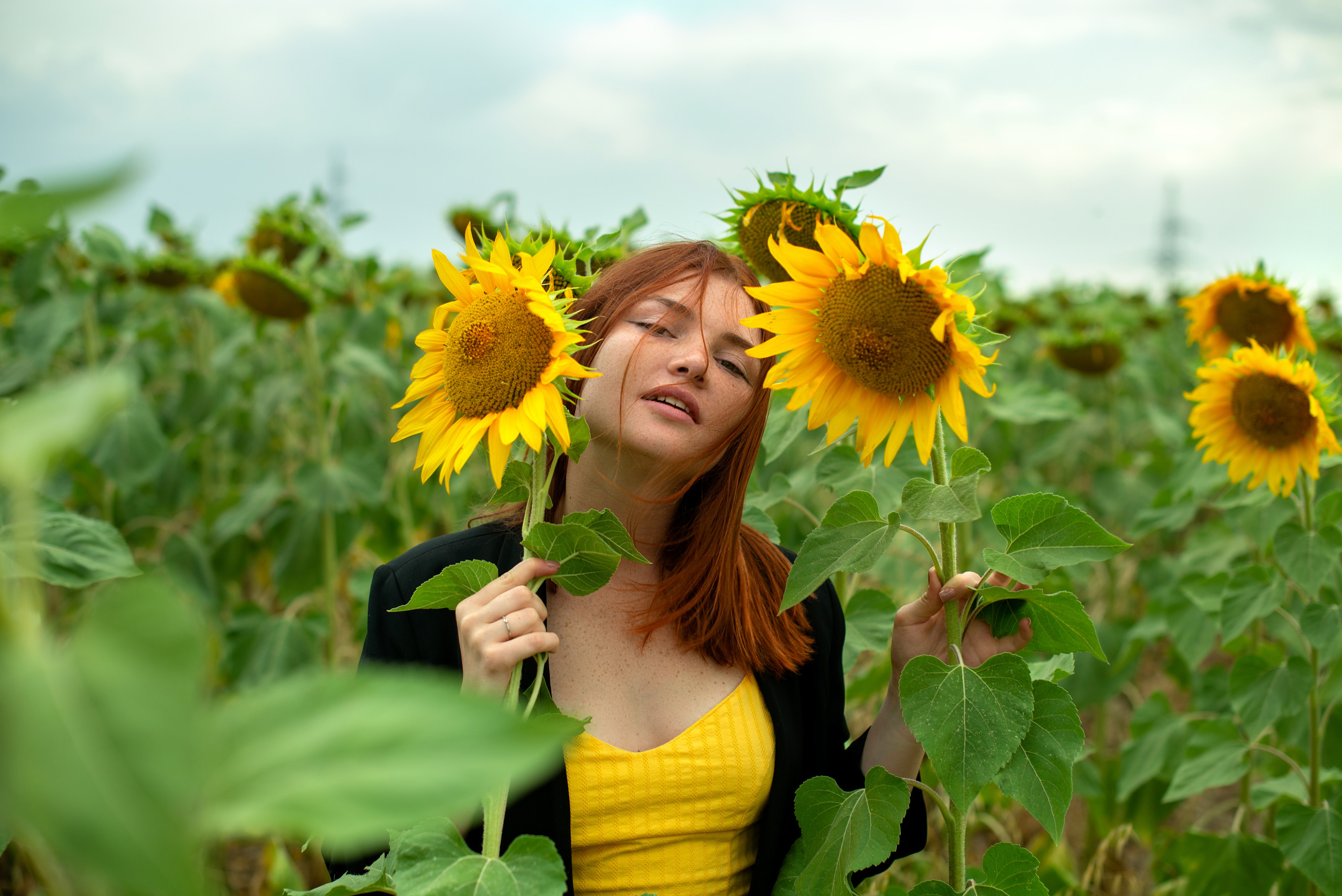 Г Николаевка, поле Подсолнухов 27.07.2023. Фотограф | Крым | Бахчисарай | Симферополь | Севастополь