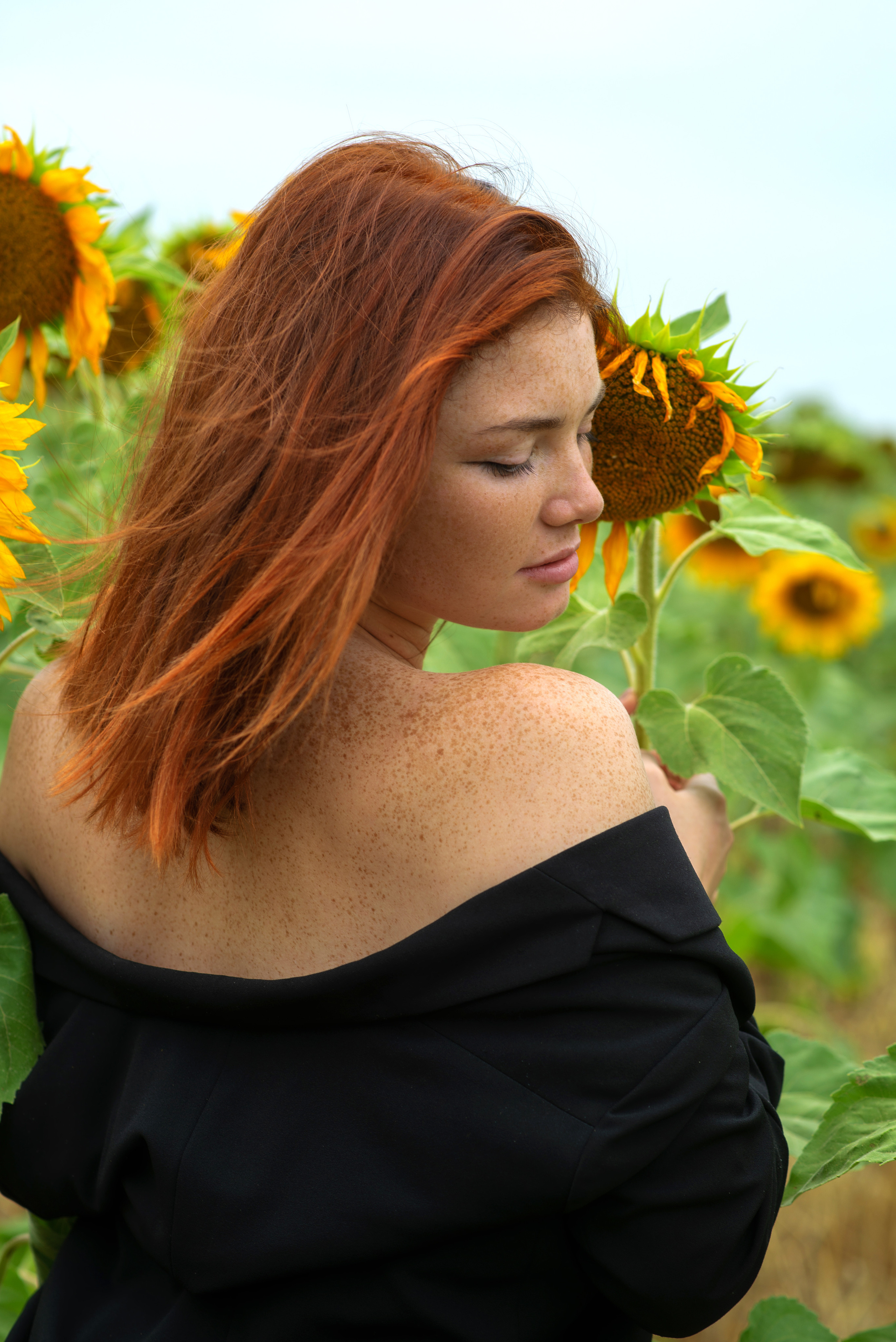 Г Николаевка, поле Подсолнухов 27.07.2023. Фотограф | Крым | Бахчисарай | Симферополь | Севастополь