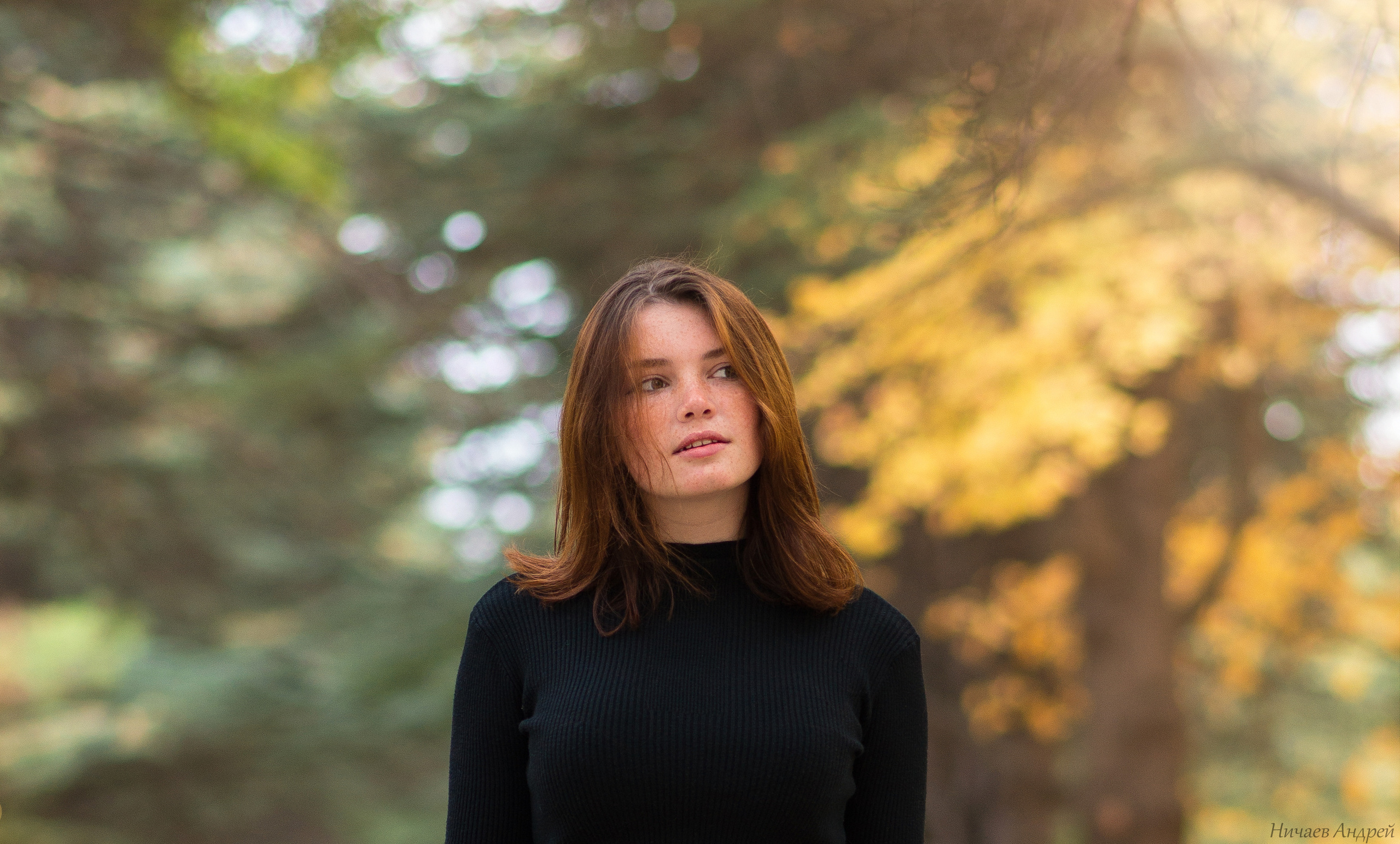 Город Симферополь, место: парк ТНУ. 29.10.2020. Фотограф | Крым | Бахчисарай | Симферополь | Севастополь