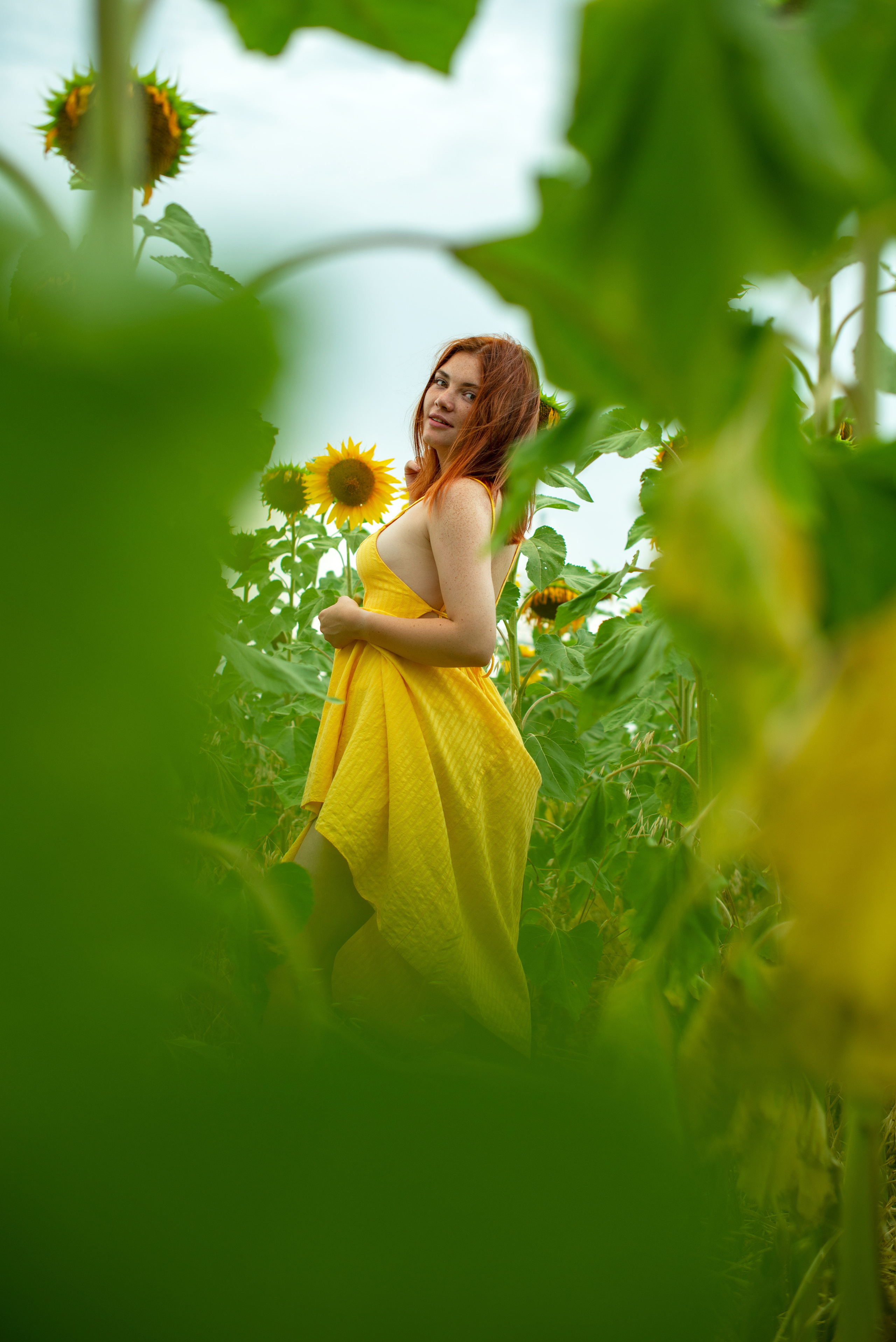 Г Николаевка, поле Подсолнухов 27.07.2023. Фотограф | Крым | Бахчисарай | Симферополь | Севастополь