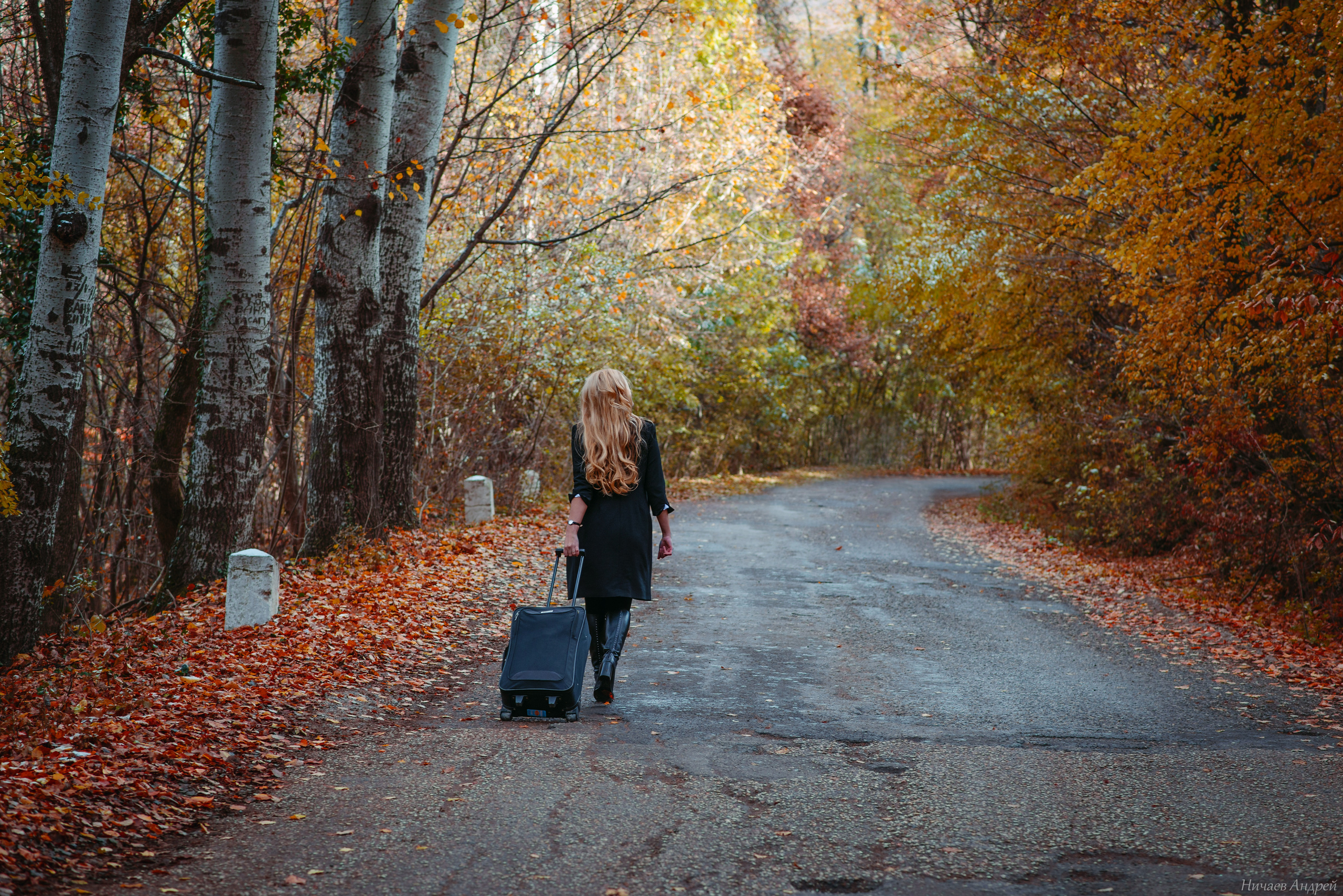 Бахчисарай, по дороге на АЙ-Петри 22.11.2020. Фотограф | Крым | Бахчисарай | Симферополь | Севастополь