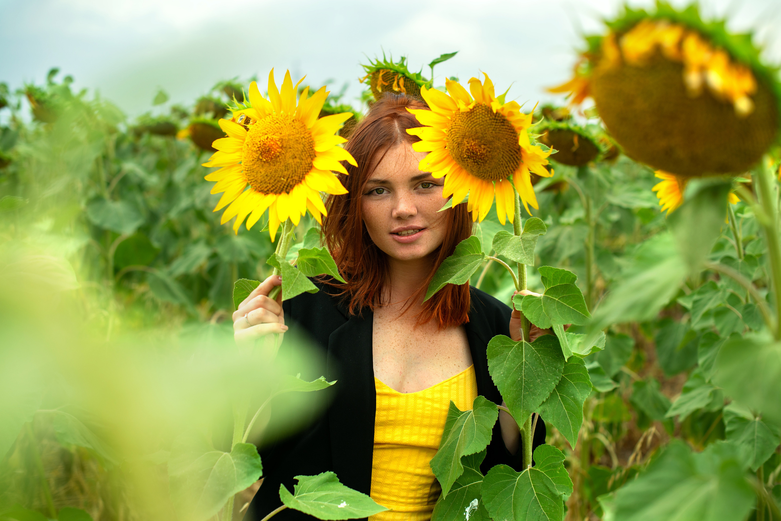 Г Николаевка, поле Подсолнухов 27.07.2023. Фотограф | Крым | Бахчисарай | Симферополь | Севастополь