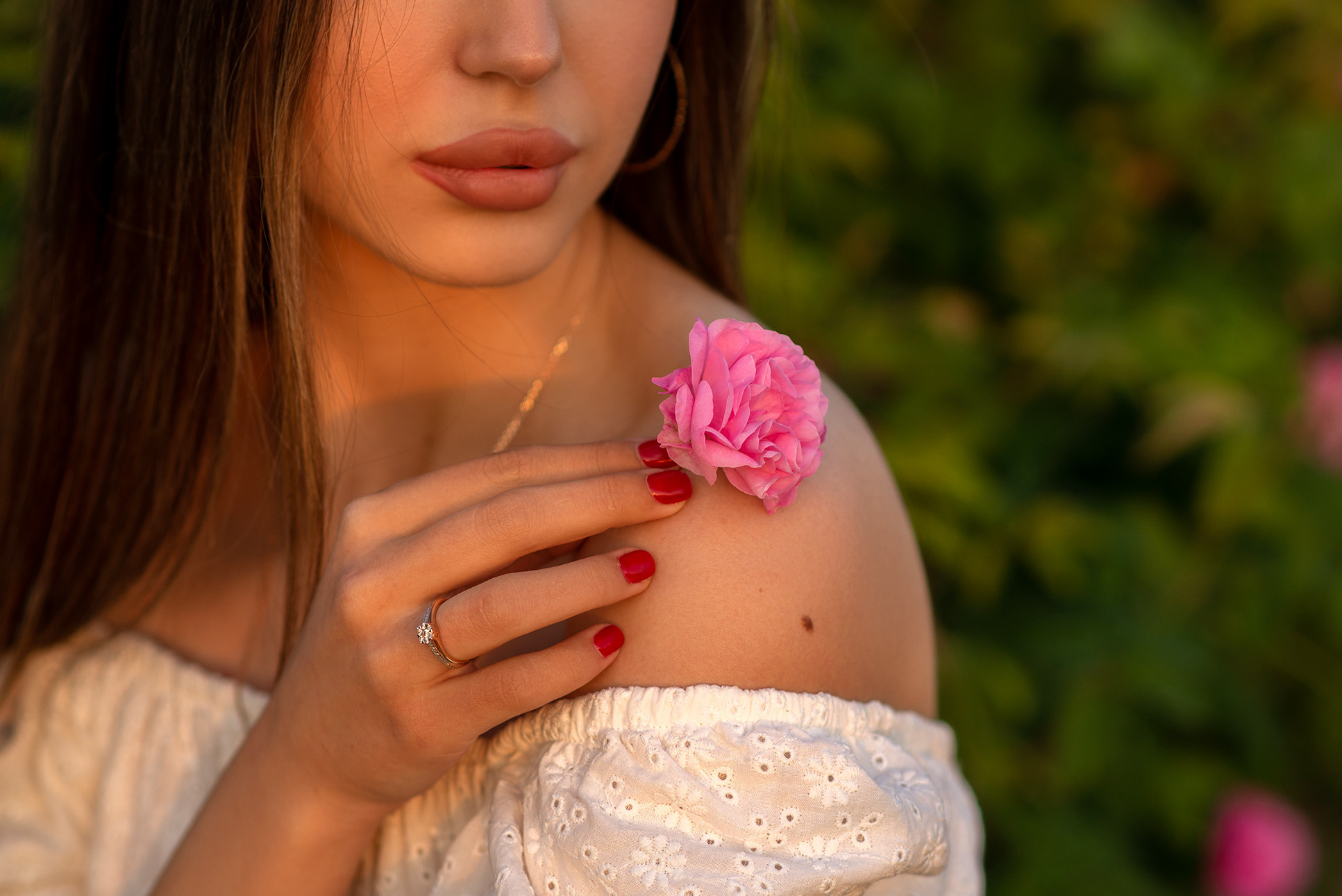Район Бахчисарай, село Тургеневка, место: поле, чайная роза. Фотограф | Крым | Бахчисарай | Симферополь | Севастополь
