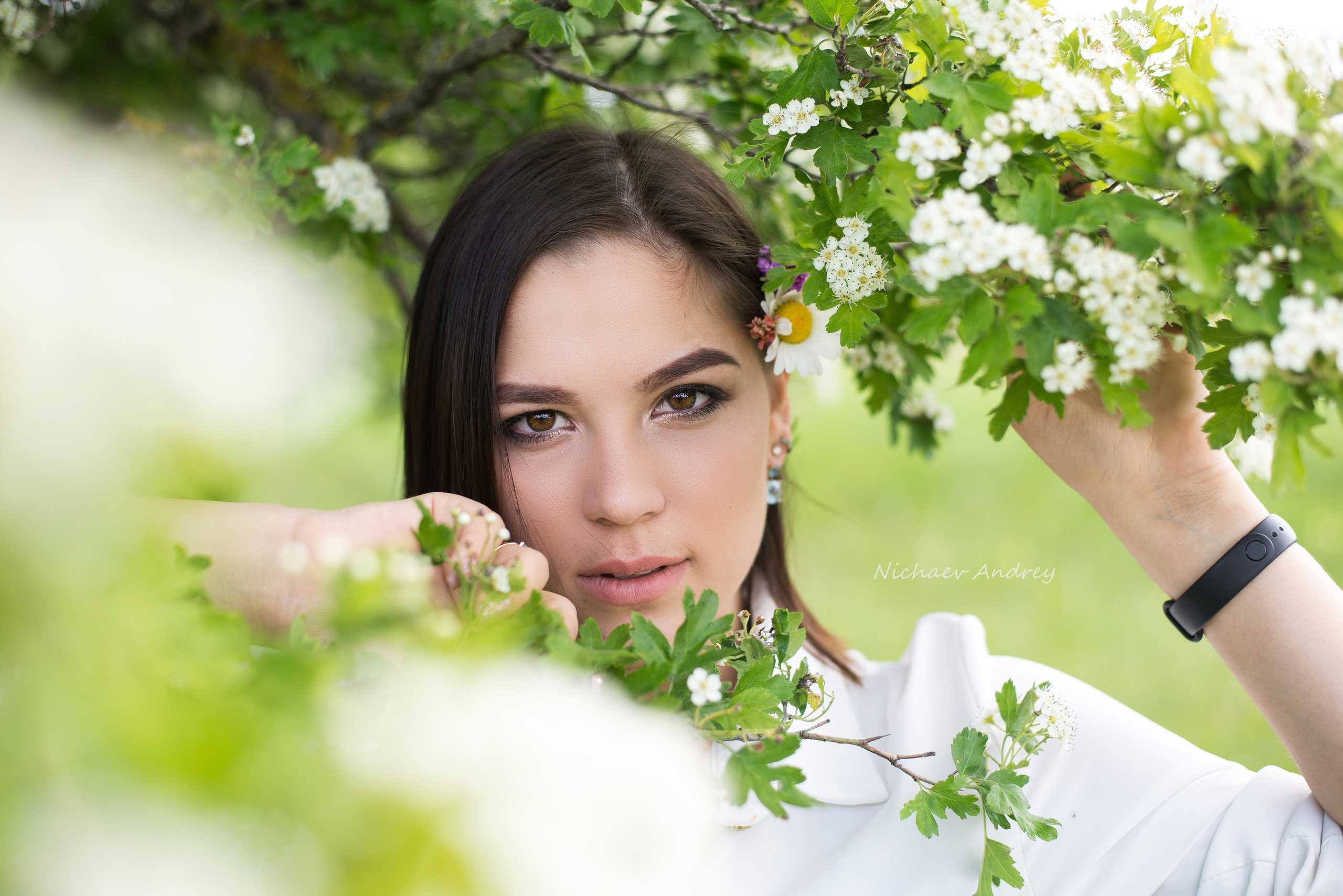 Симферополь 04.06.2020. Фотограф | Крым | Бахчисарай | Симферополь | Севастополь