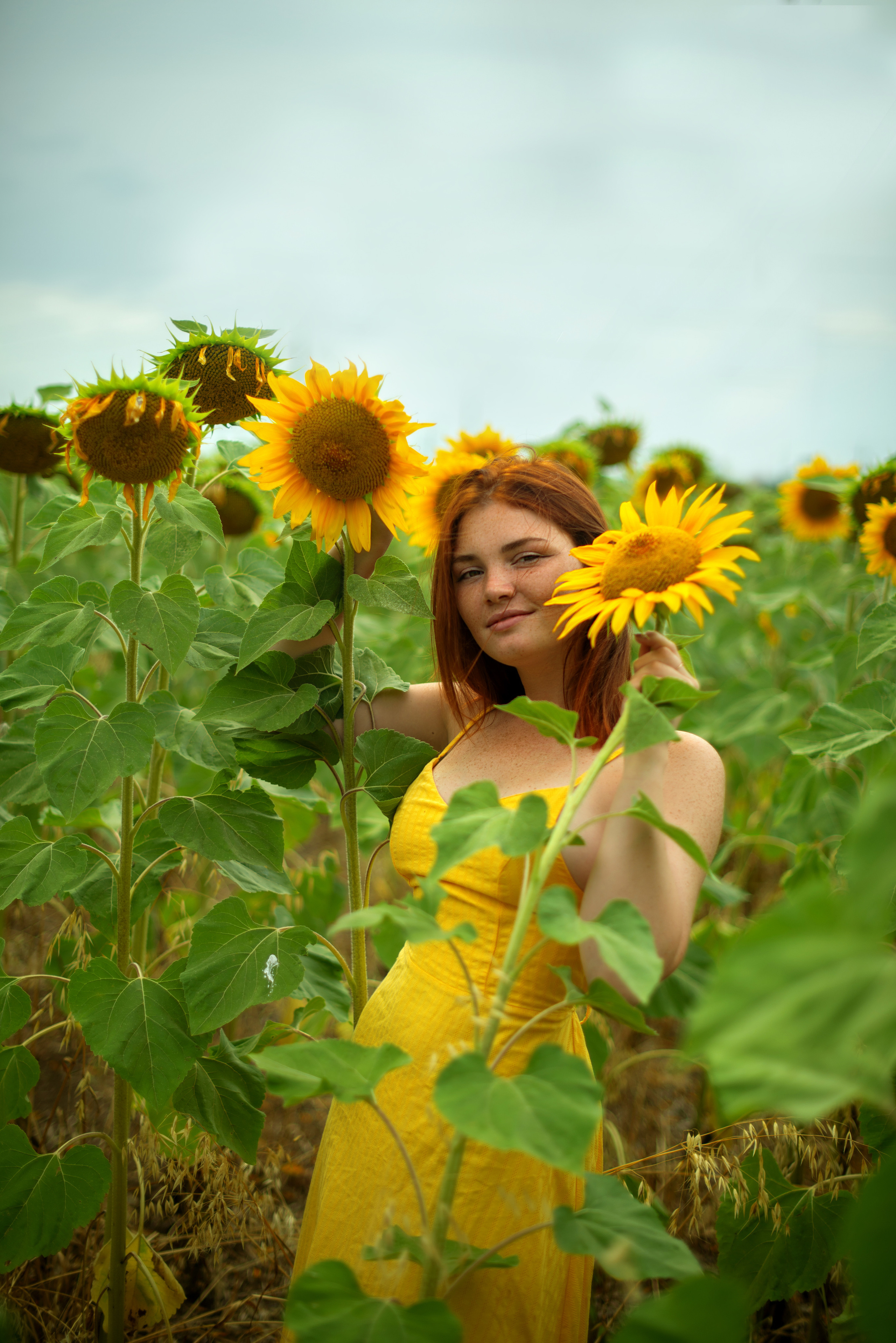 Г Николаевка, поле Подсолнухов 27.07.2023. Фотограф | Крым | Бахчисарай | Симферополь | Севастополь