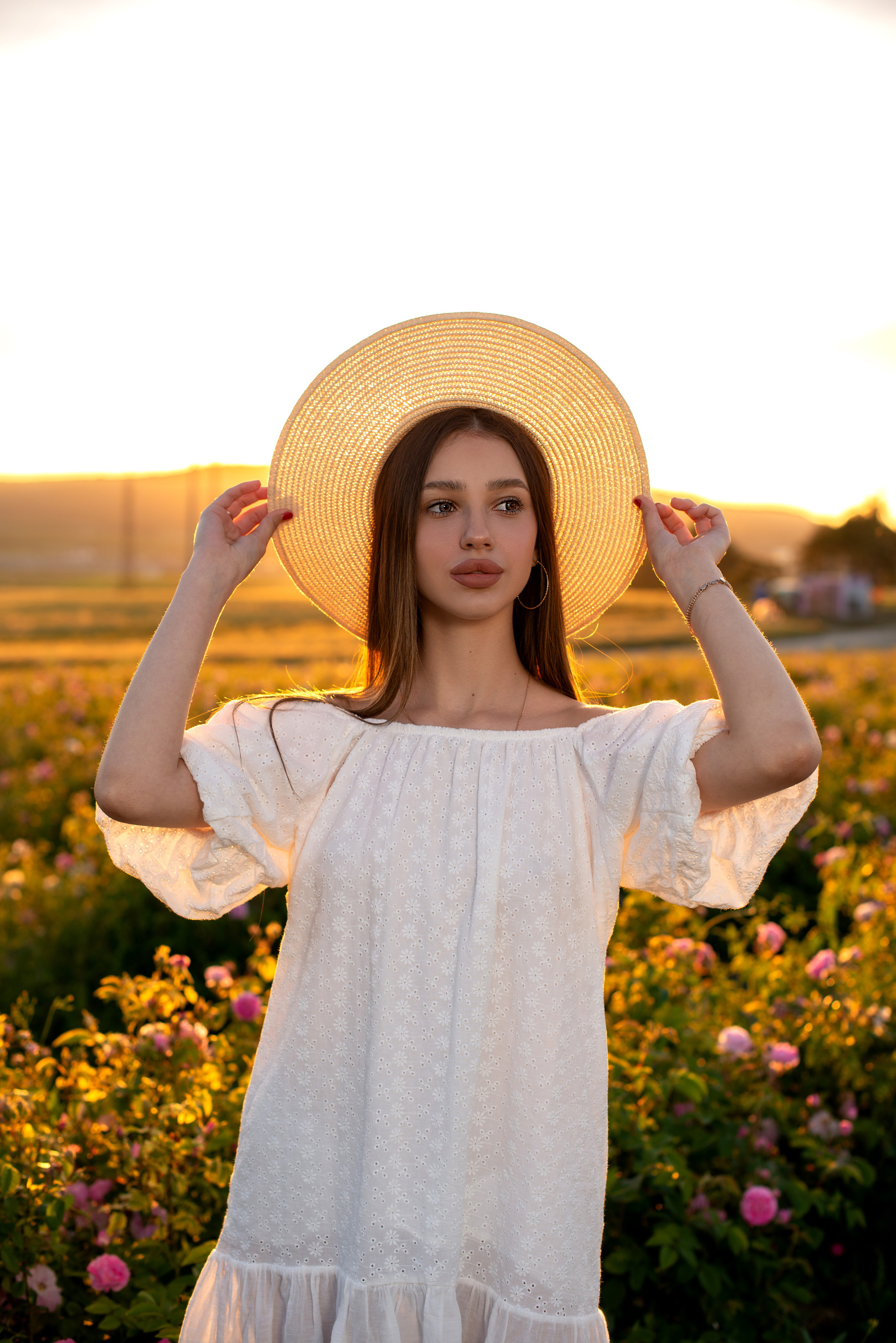 Район Бахчисарай, село Тургеневка, место: поле, чайная роза. Фотограф | Крым | Бахчисарай | Симферополь | Севастополь