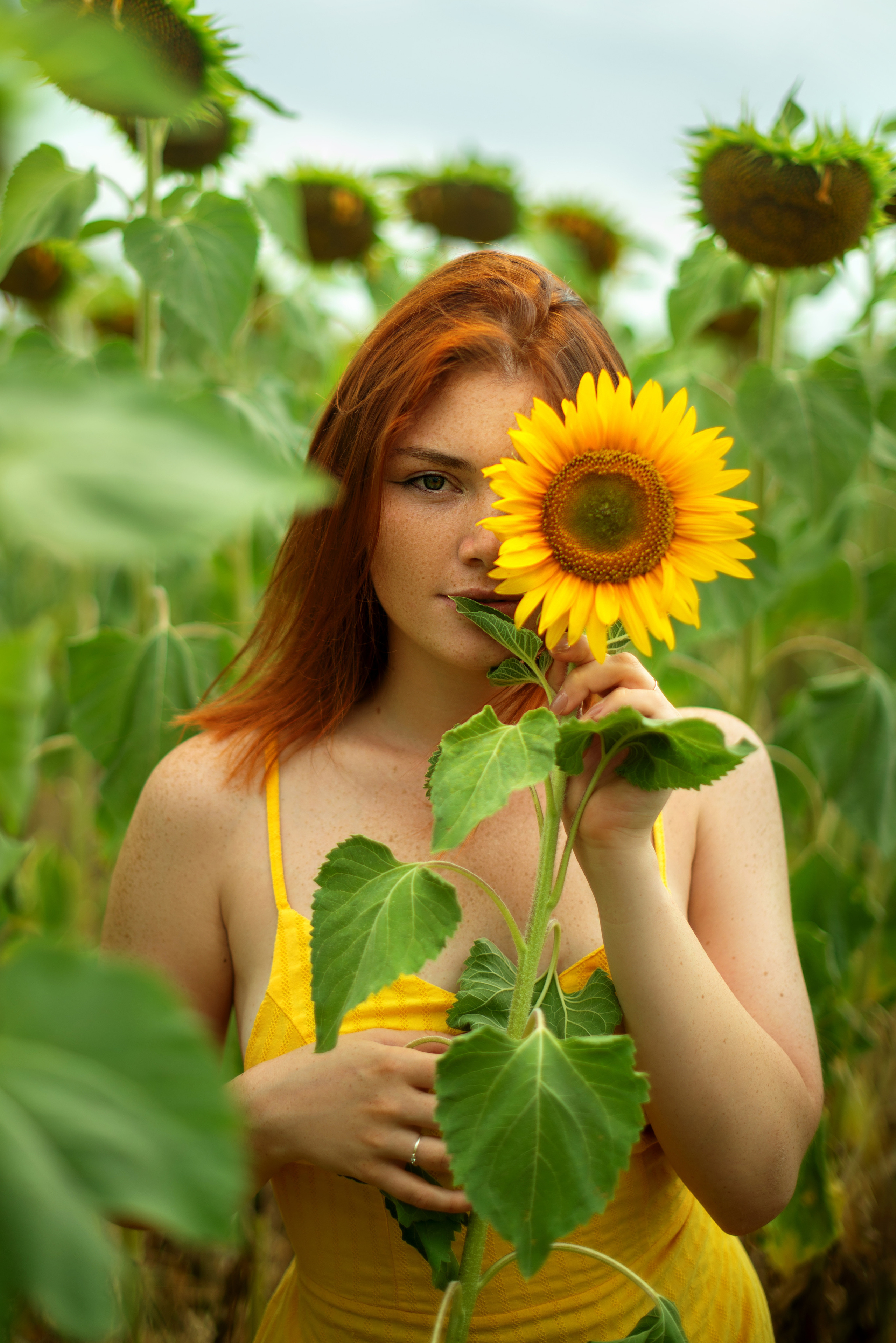 Г Николаевка, поле Подсолнухов 27.07.2023. Фотограф | Крым | Бахчисарай | Симферополь | Севастополь