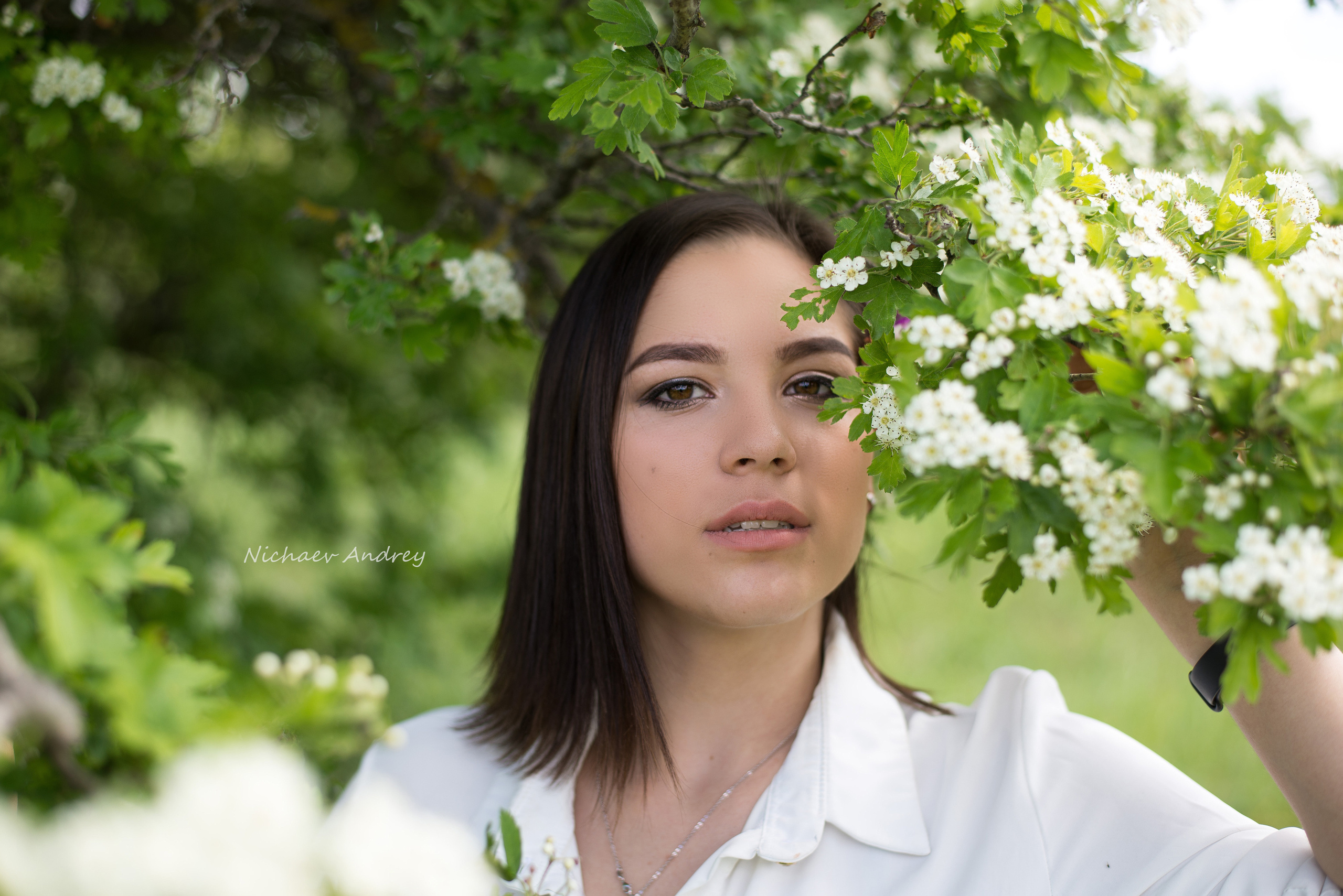 Симферополь 04.06.2020. Фотограф | Крым | Бахчисарай | Симферополь | Севастополь