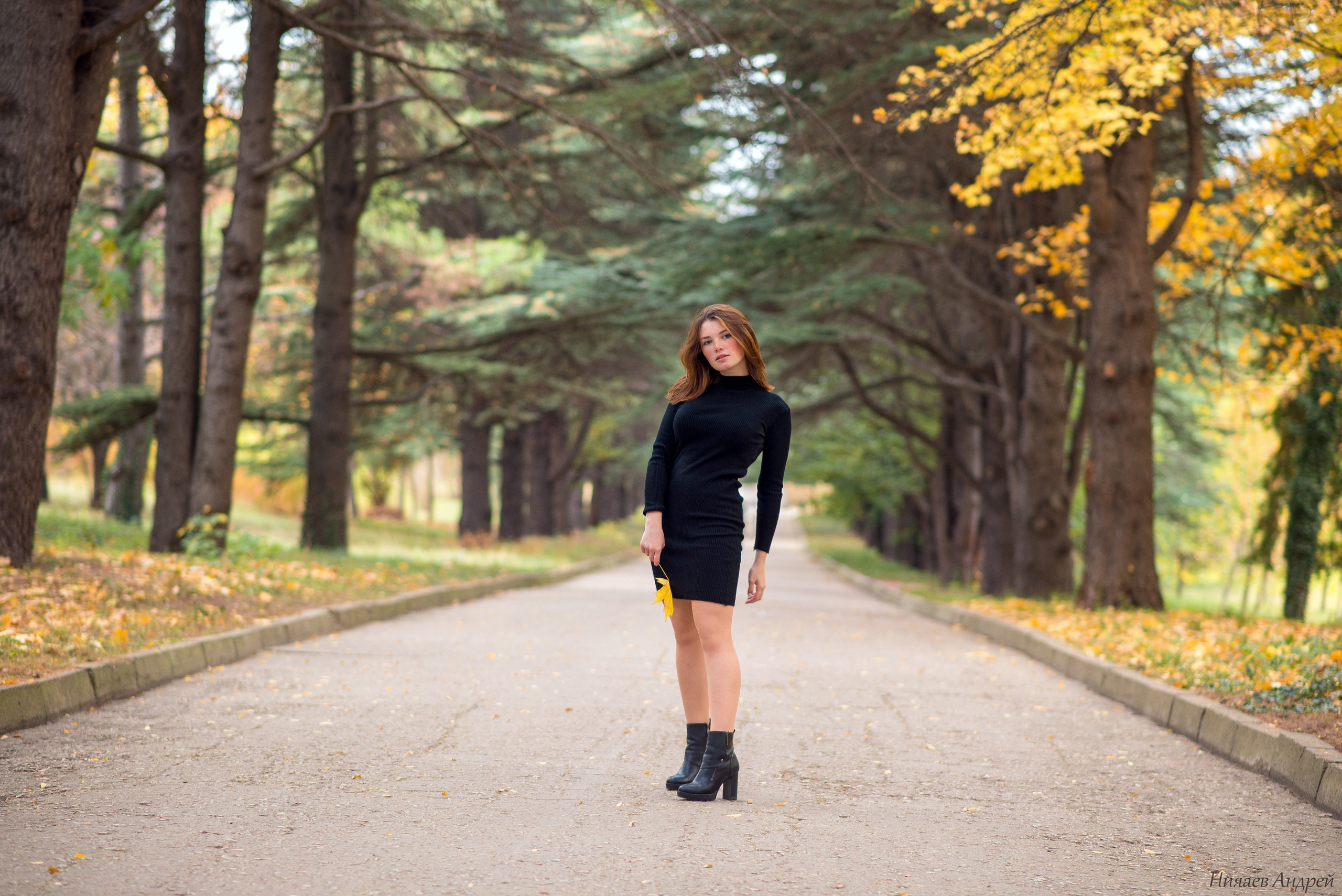 Город Симферополь, место: парк ТНУ. 29.10.2020. Фотограф | Крым | Бахчисарай | Симферополь | Севастополь