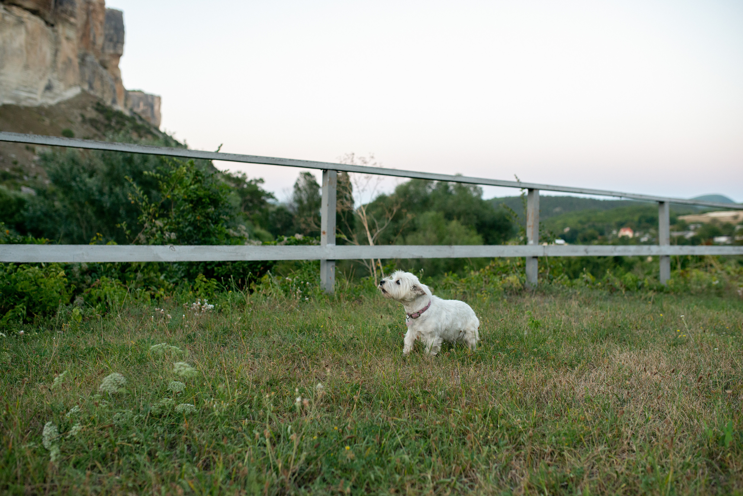 семейный фотограф 