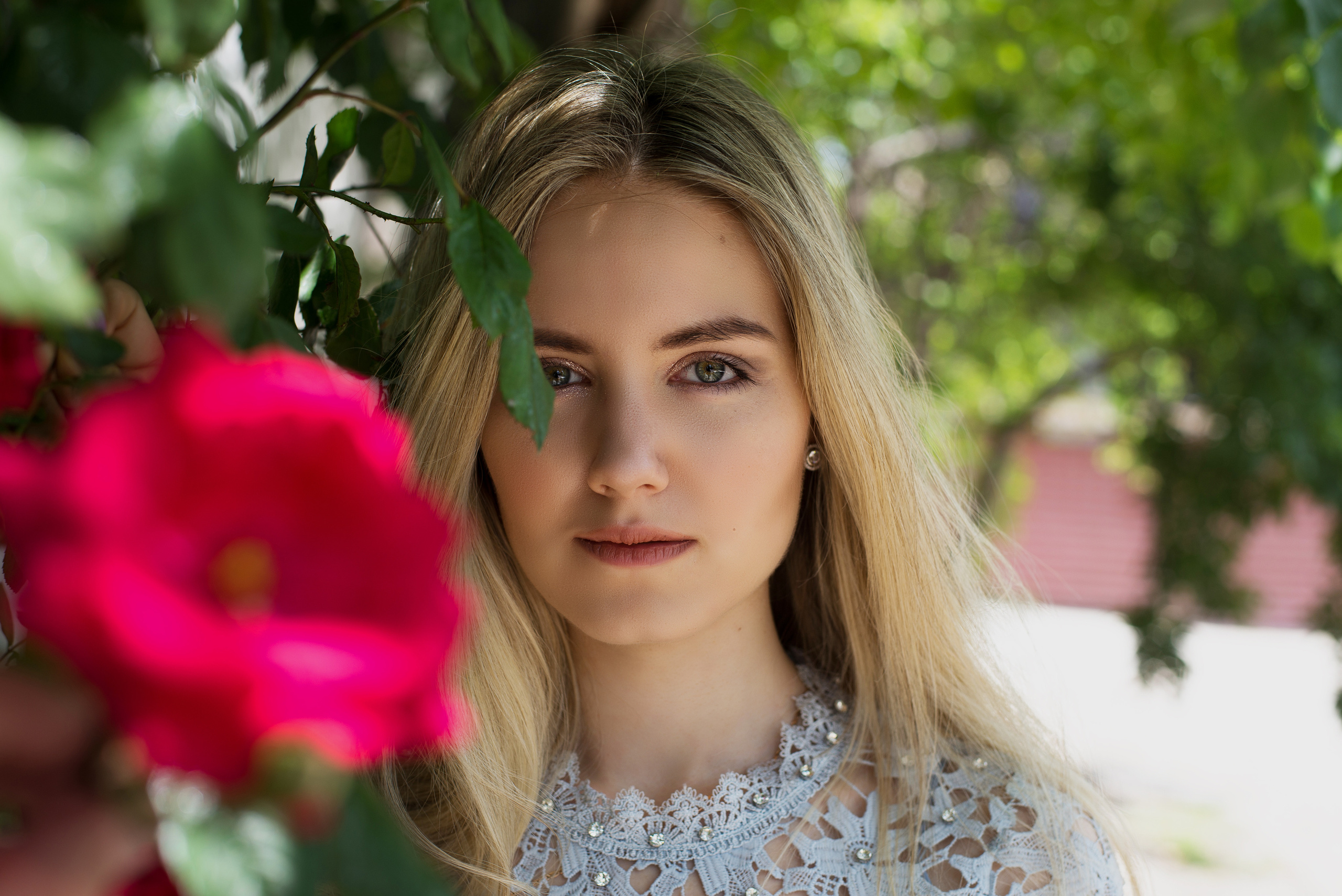 Город Севастополь, место: центр города 17.05.2020. Фотограф | Крым | Бахчисарай | Симферополь | Севастополь