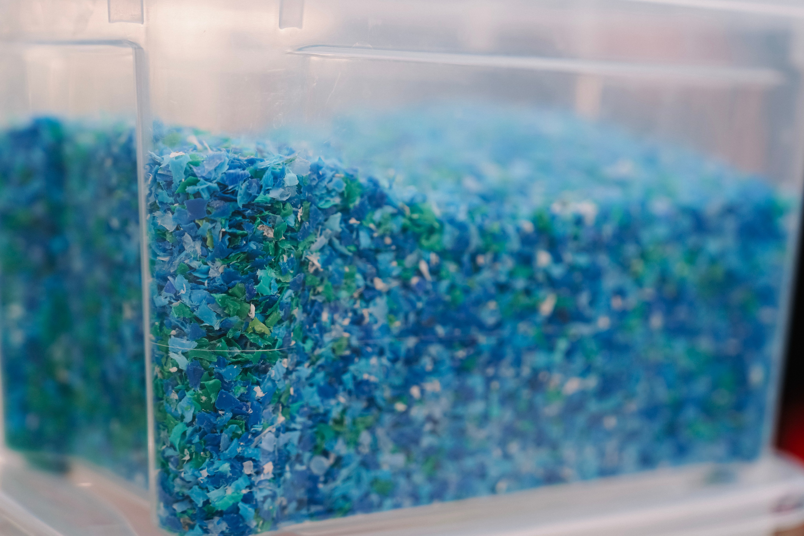 Инсити / Экопраздник в Любимово. Фотограф с психологическим образованием