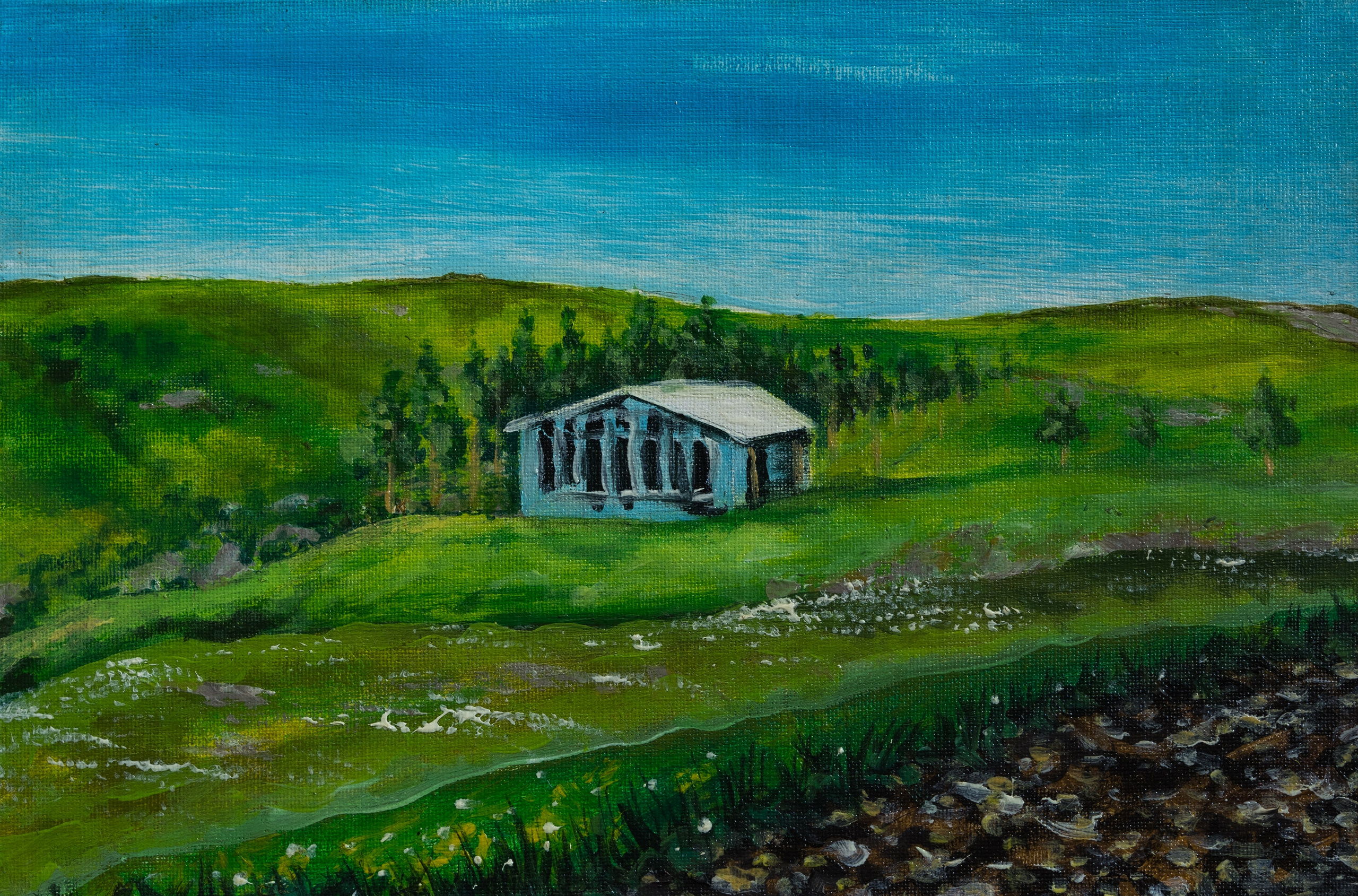 Мои картины. Свадебный фотограф Кисловодск Пятигорск Ессентуки Железноводск Владимир Батищев