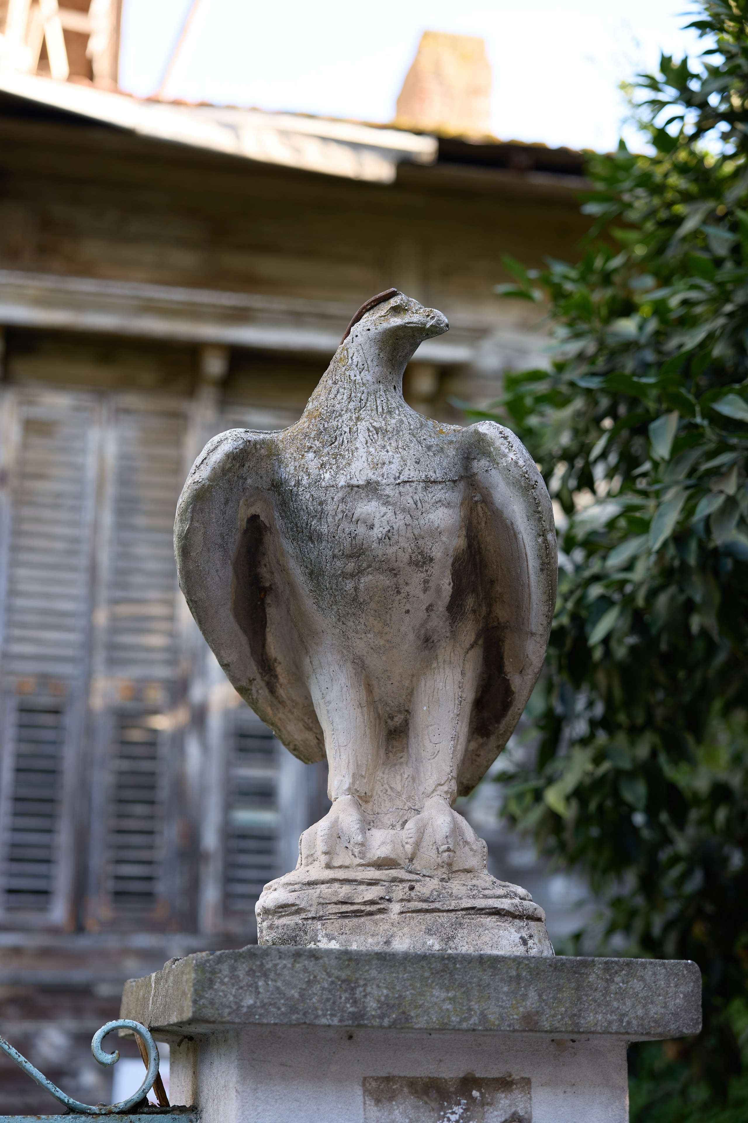 Стамбул 24. Фотограф Москва, Дима Пеллер