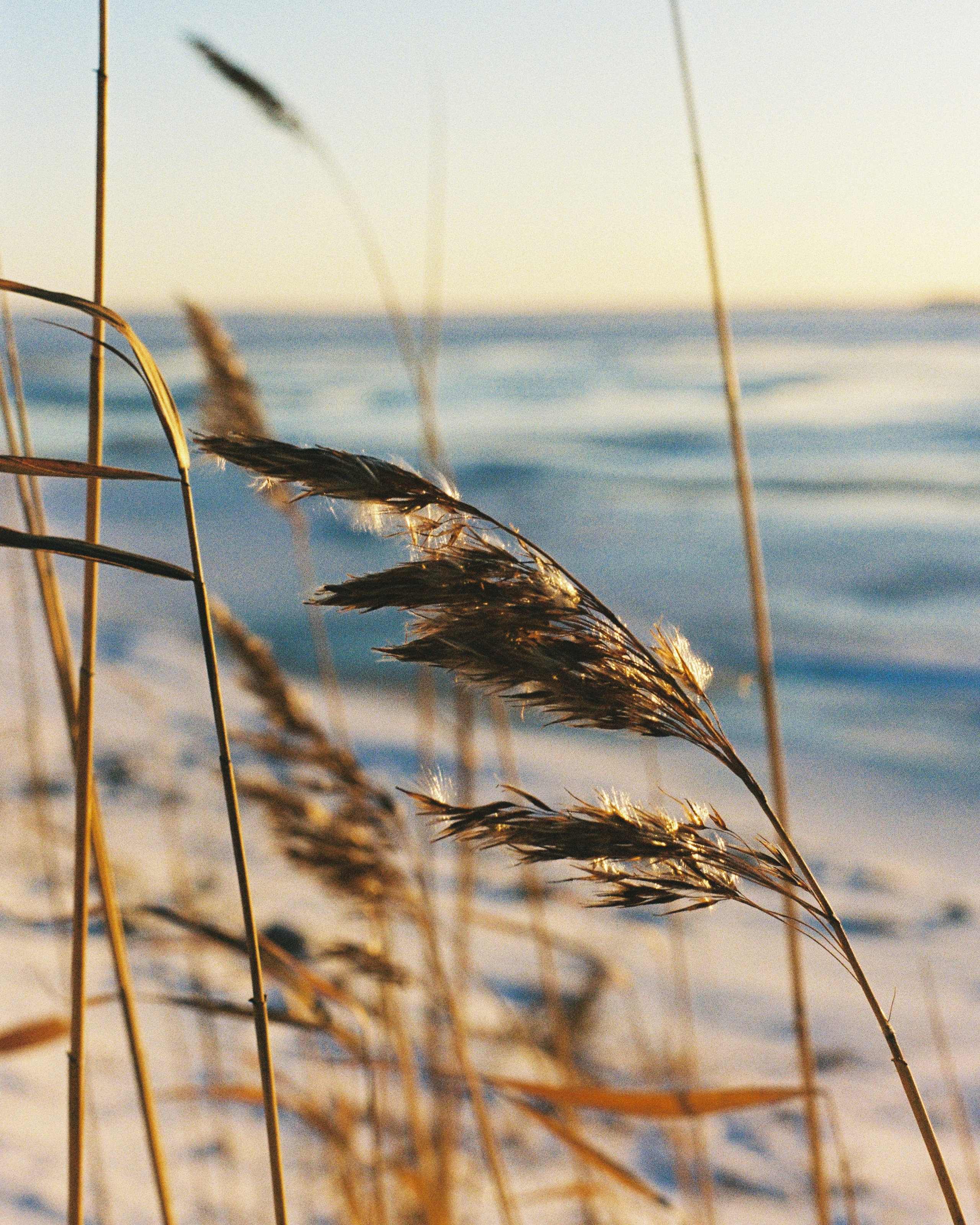 KARELIA. ANNA — PHOTOGRAPHER