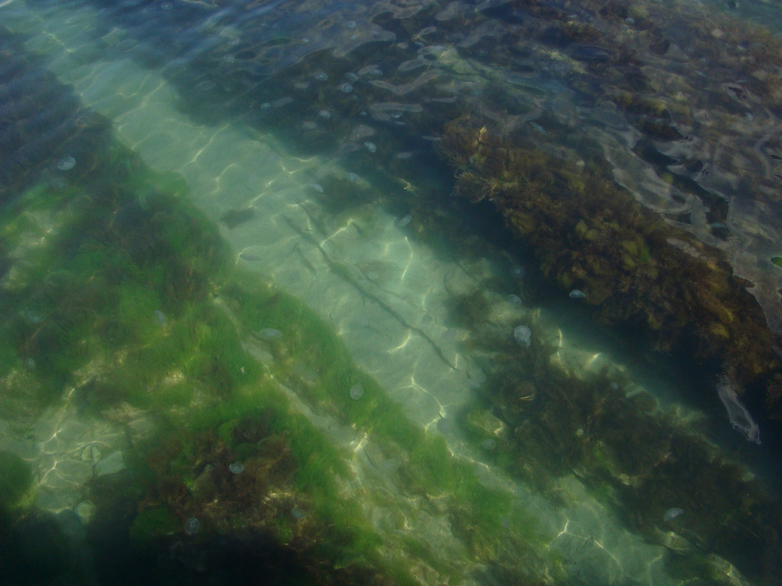 Кабардинка (фото Зевиных) 25.06-24.07.2008. Семейный, Свадебный фотограф СПБ Питер— Романова Екатерина