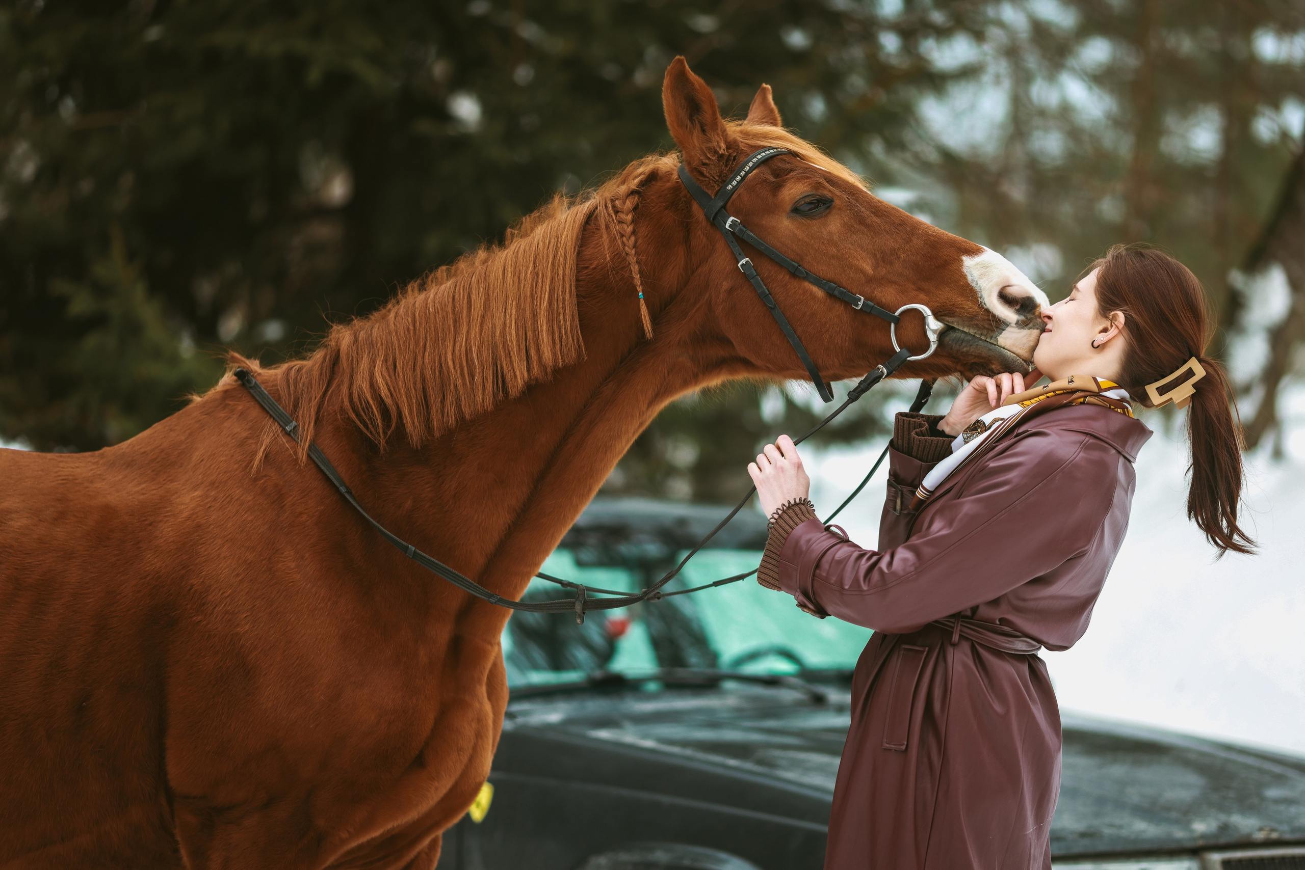 Фотосессии с лошадьми