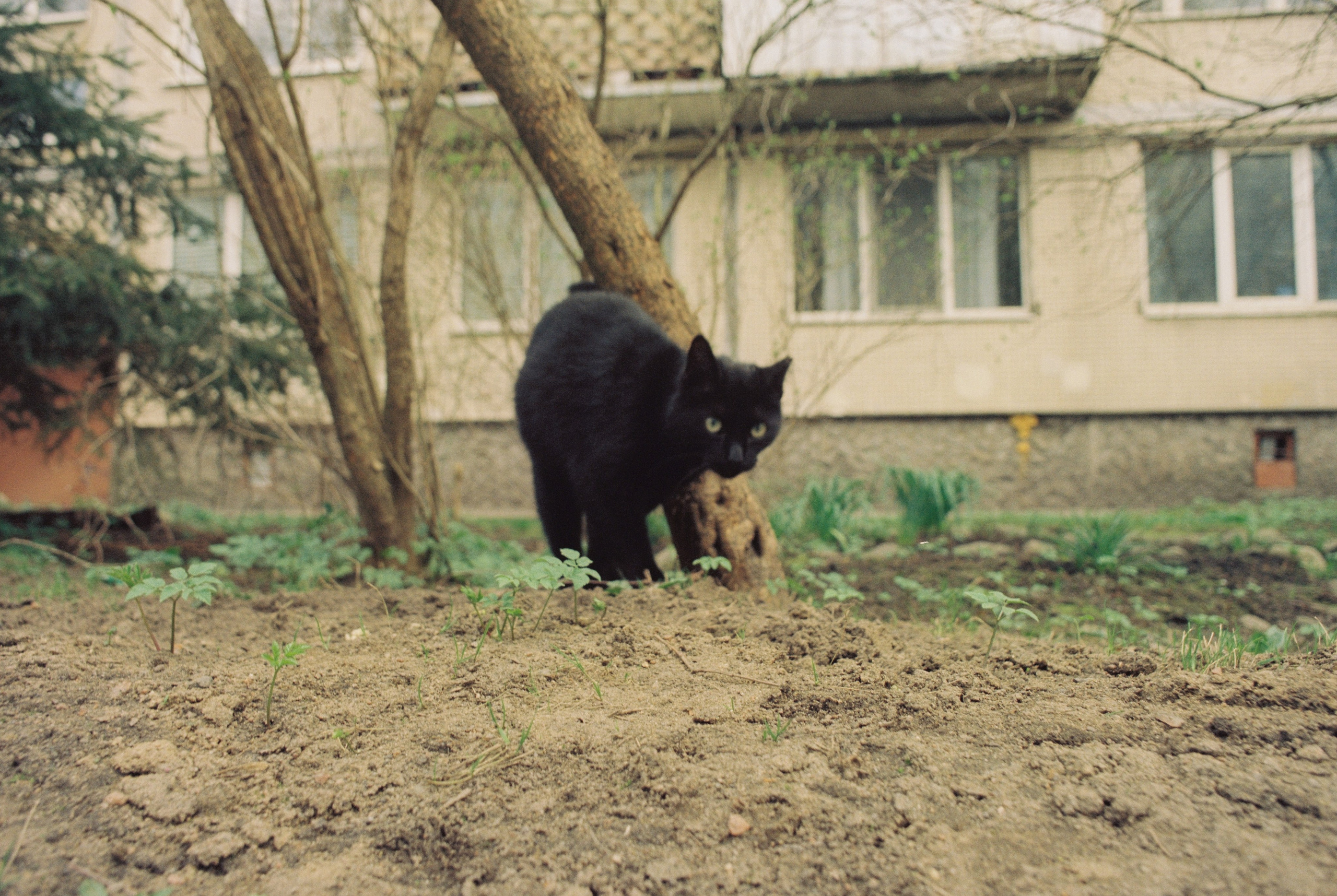 Плёночная весна 2025. Илья Михачёв Фотограф ПРО людей