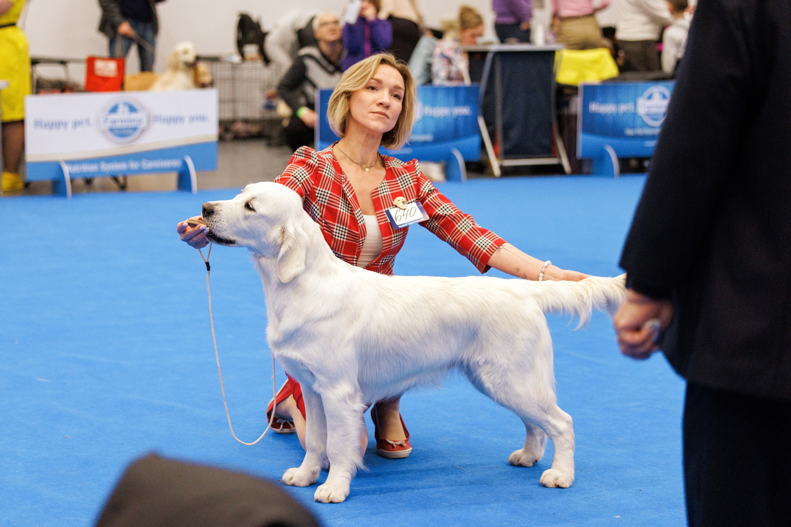 Нижний Новгород 21-22.10.2023. Фотограф-анималист Юлия Германика