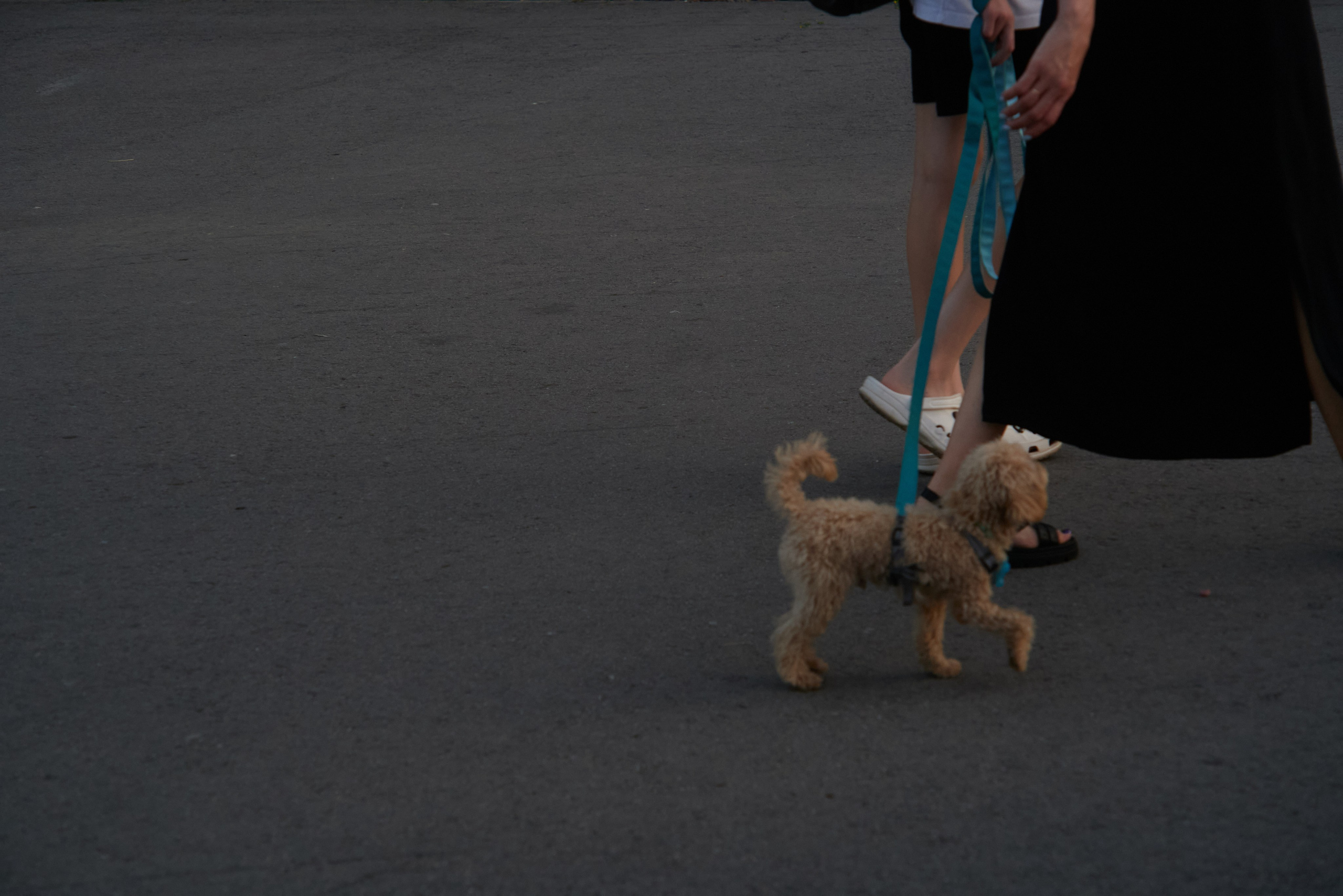 Not A White Spot. Dmitry Ermakov. Documentary photographer