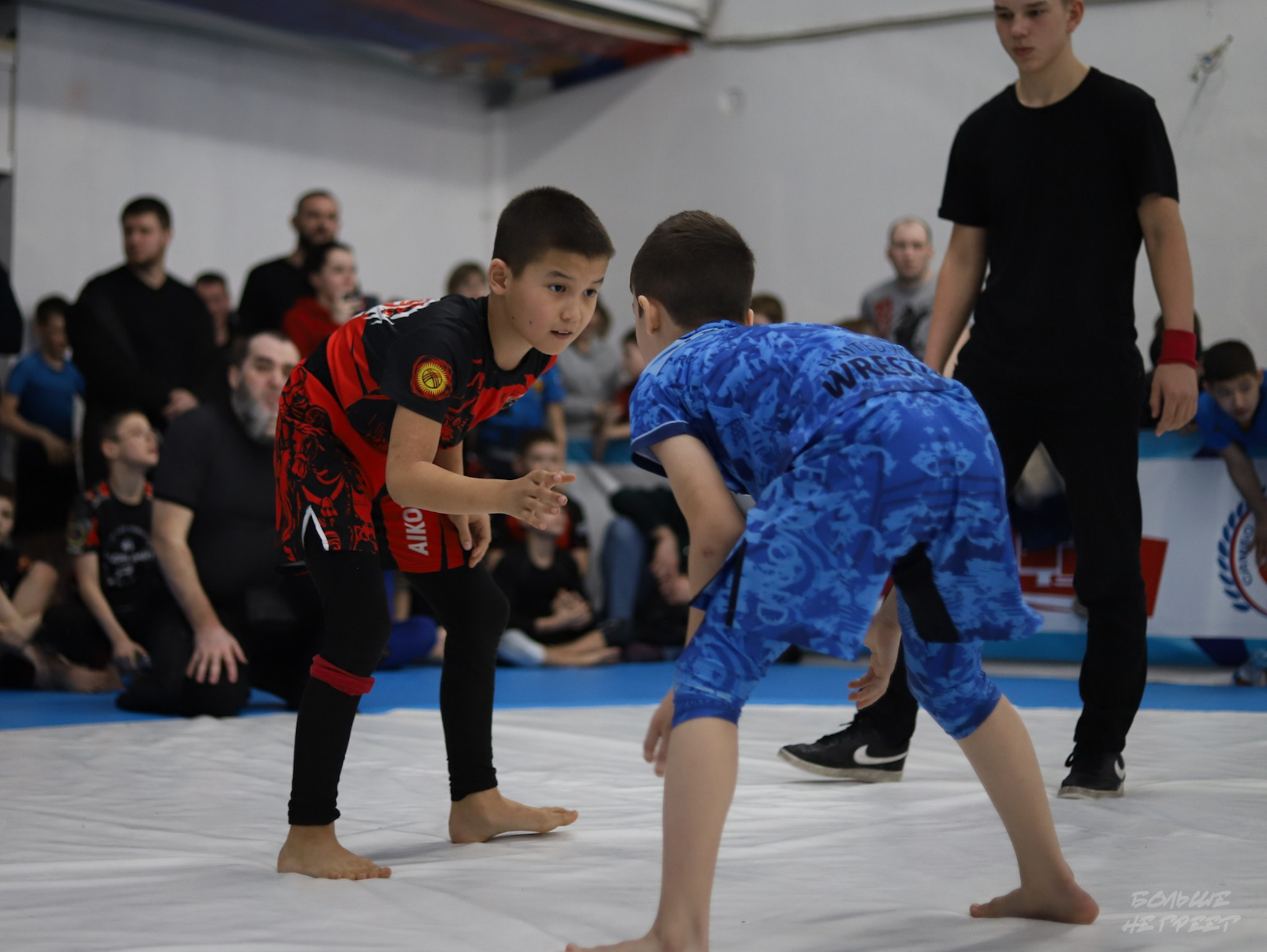 GORILLA PRIDE CUP. Больше не греет