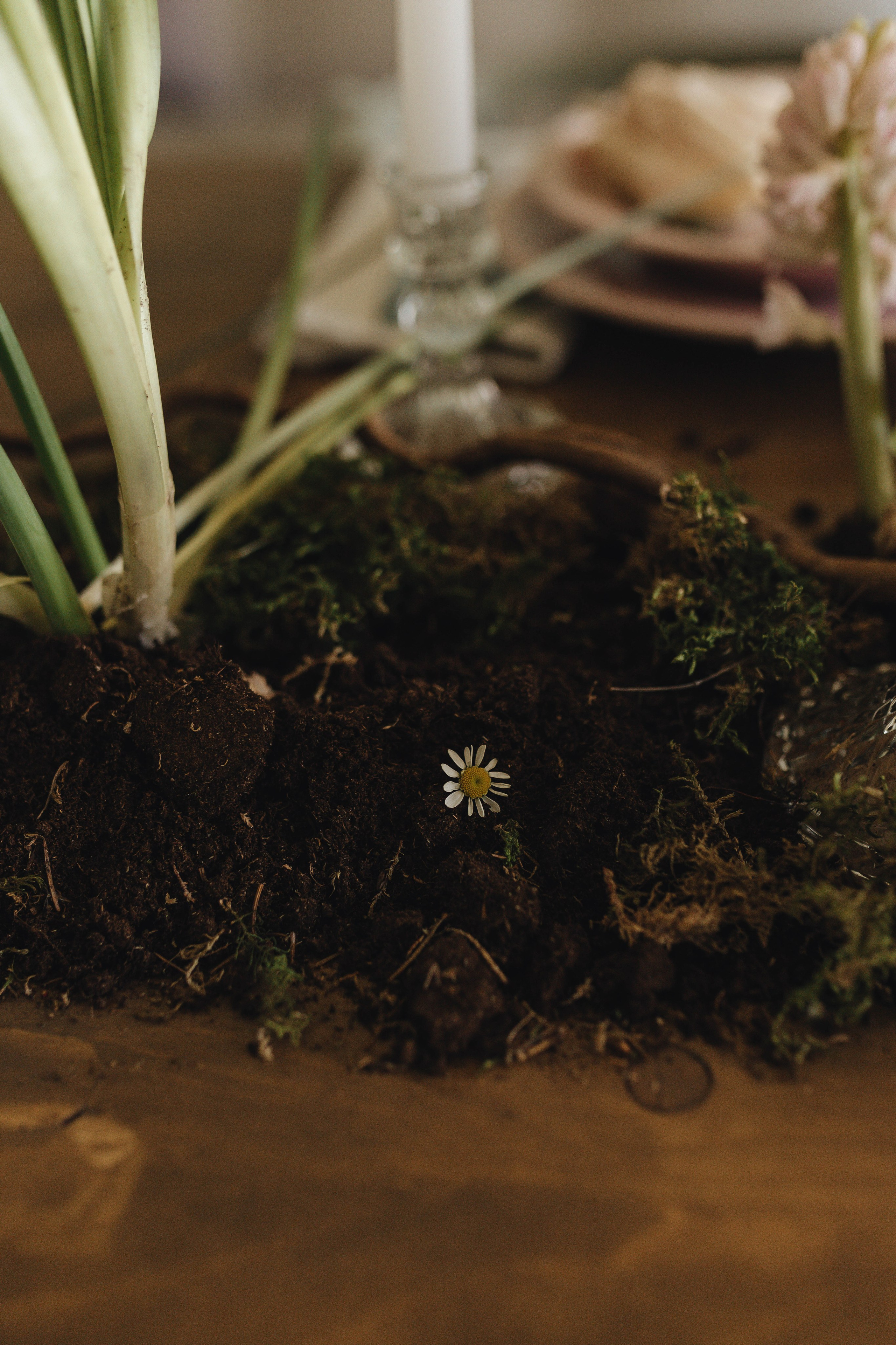 Я тону в твоих глазах. Фотограф Видеограф| Пермь, Сочи, Санкт-Петербург