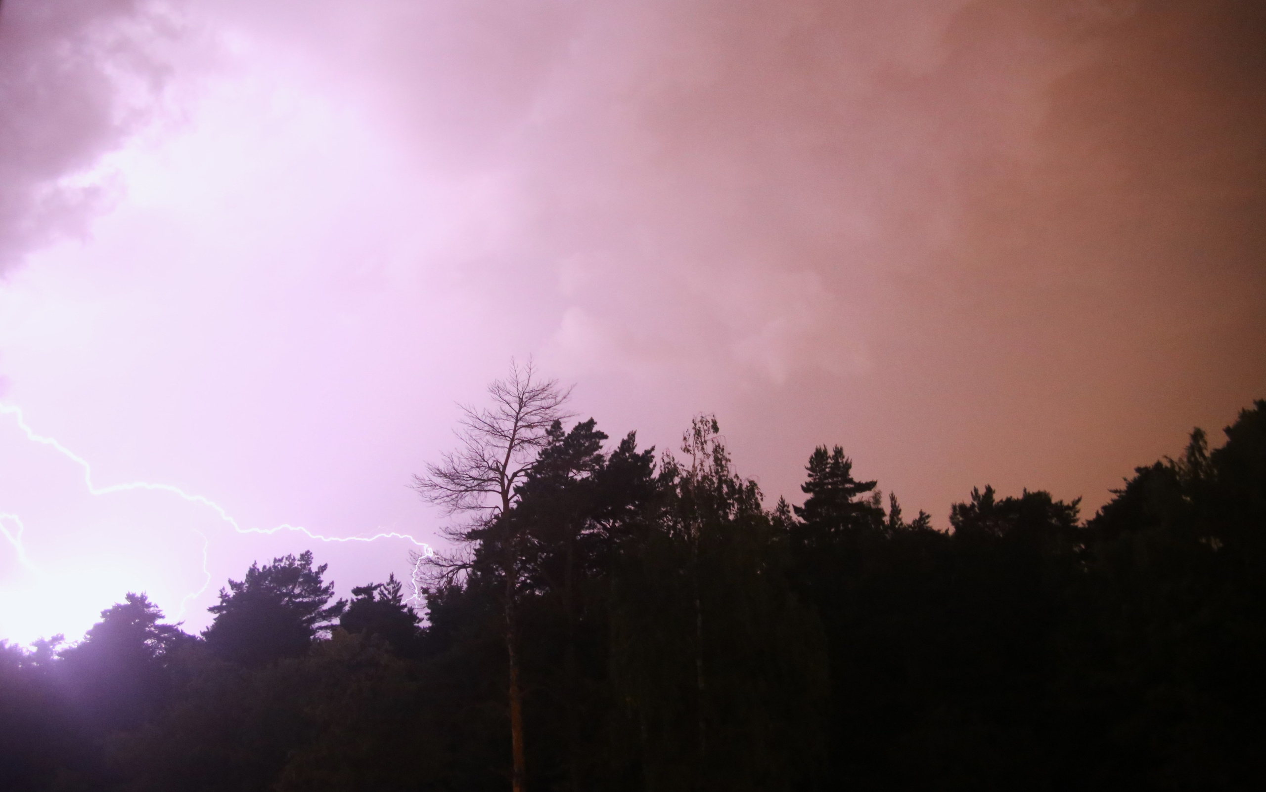 Всё, что я вижу вокруг себя