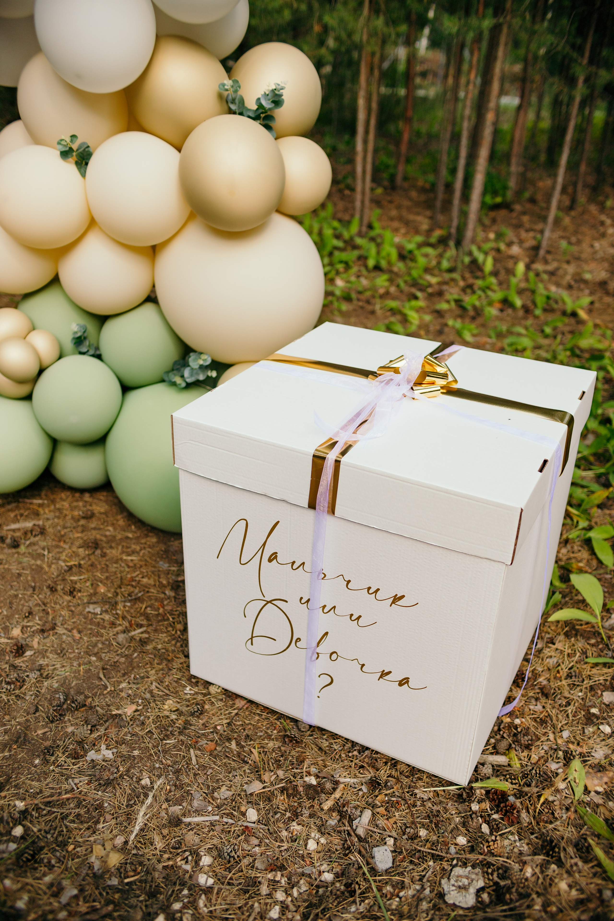 Girl or Boy?. Семейный фотограф в Рязани Харламова Влада