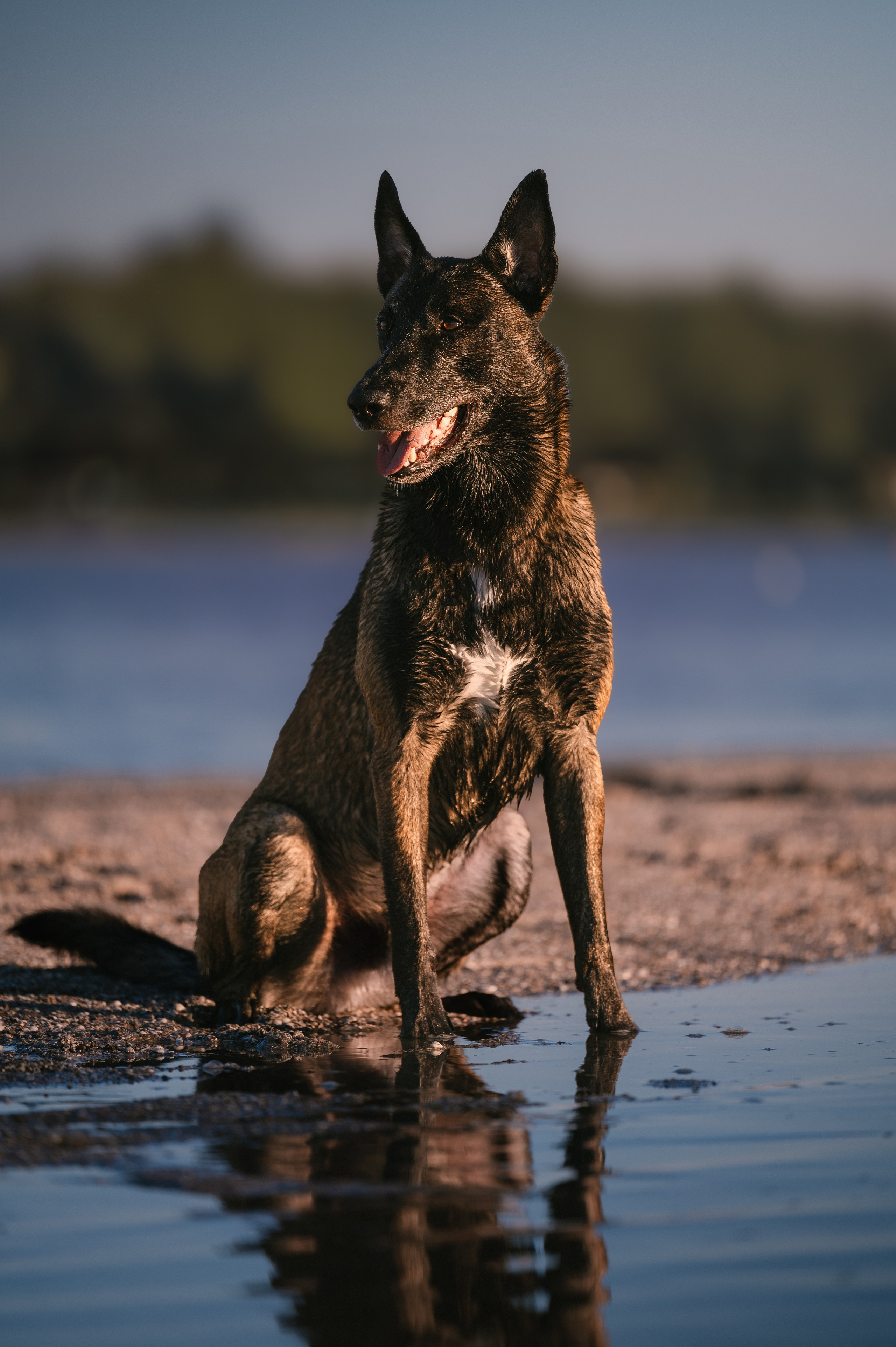 Вечер на заливе. Фотограф в Ростове —на — Дону