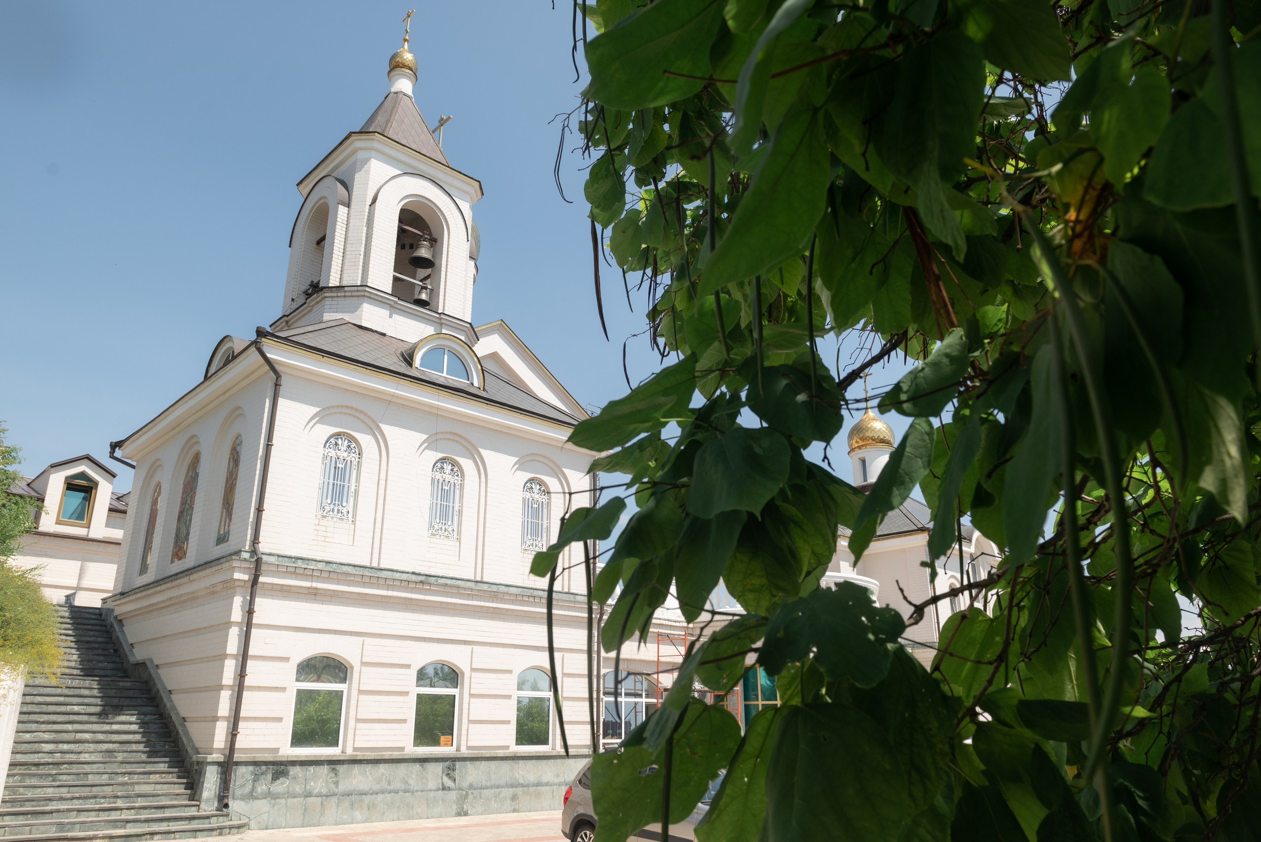 Матвей. Семейный фотограф Ирина Сгибнева