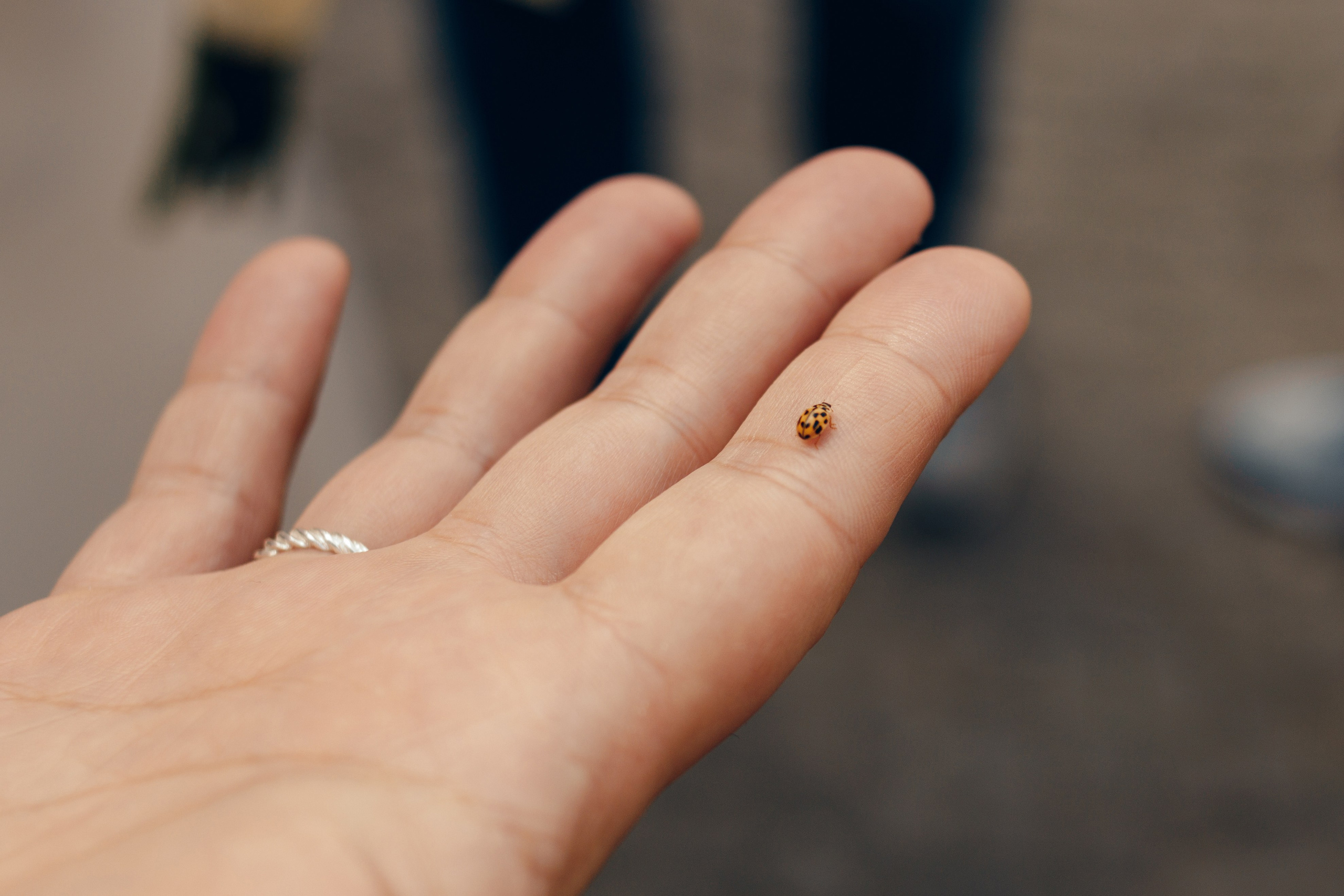 Наталья & Марат. Фотограф в Тбилиси Наталья Фомина