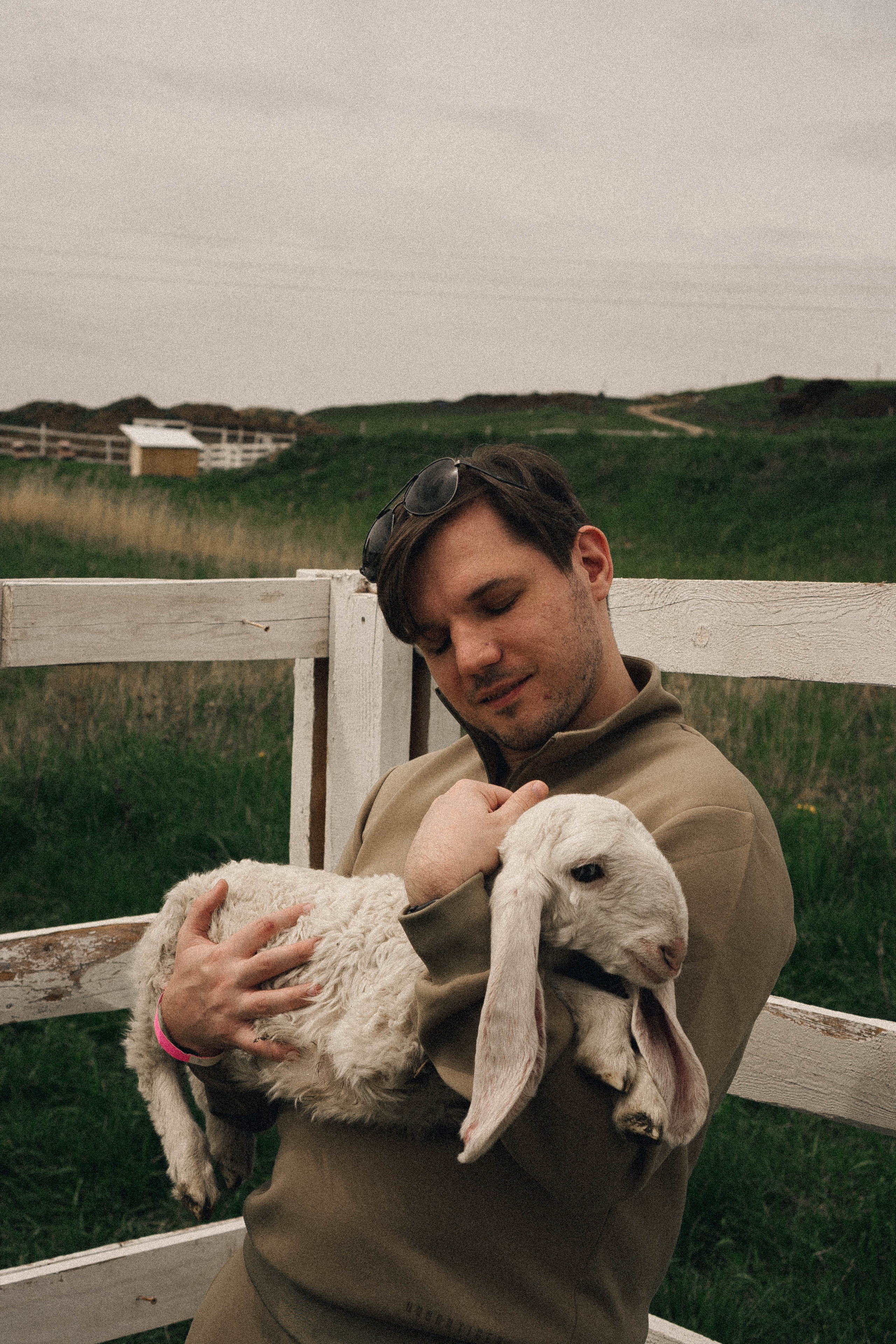 Ферма Альпак. Профессиональный фотограф, Санкт-Петербург — Виктория Богомолова