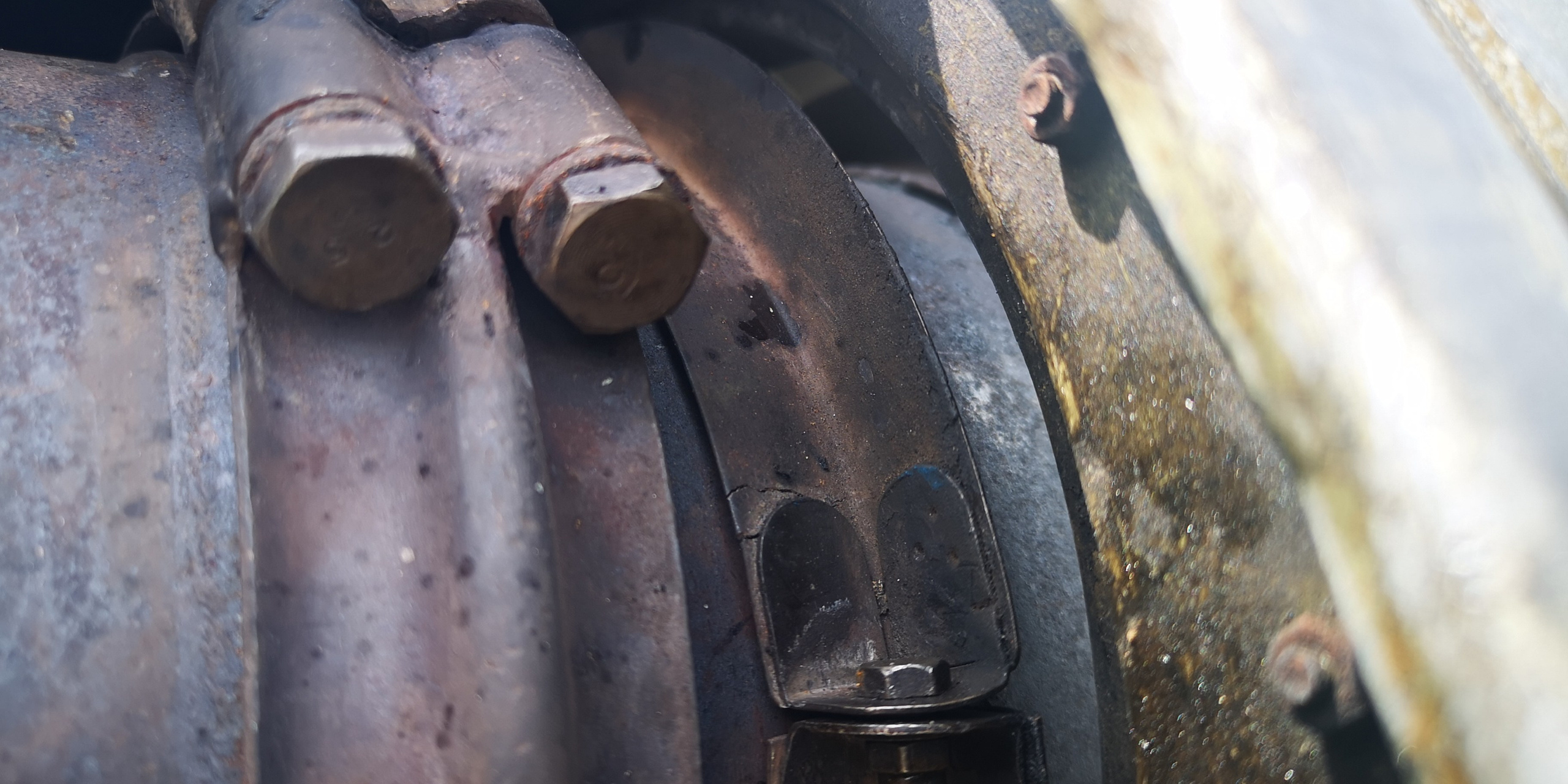 Ил-14Т «Голубая Мечта» (2019 г.). Фотоальбом показывающий увлекательный мир авиации и мир медведей Андрея Иванова