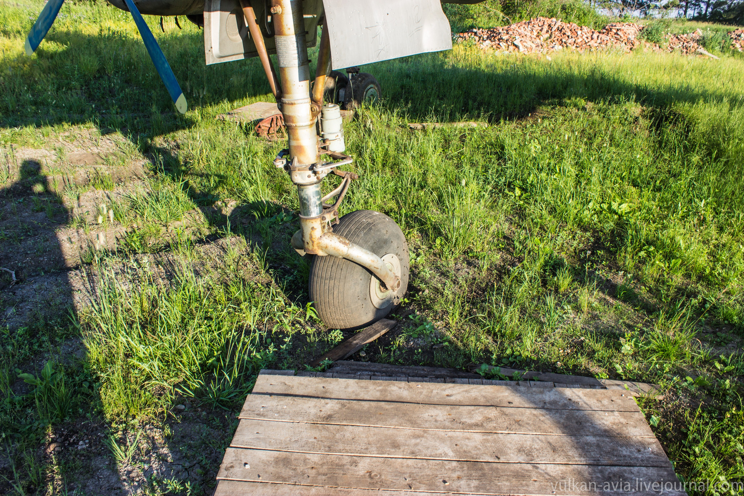 Ил-14 (Пермь, Фролы). Фотоальбом показывающий увлекательный мир авиации и мир медведей Андрея Иванова