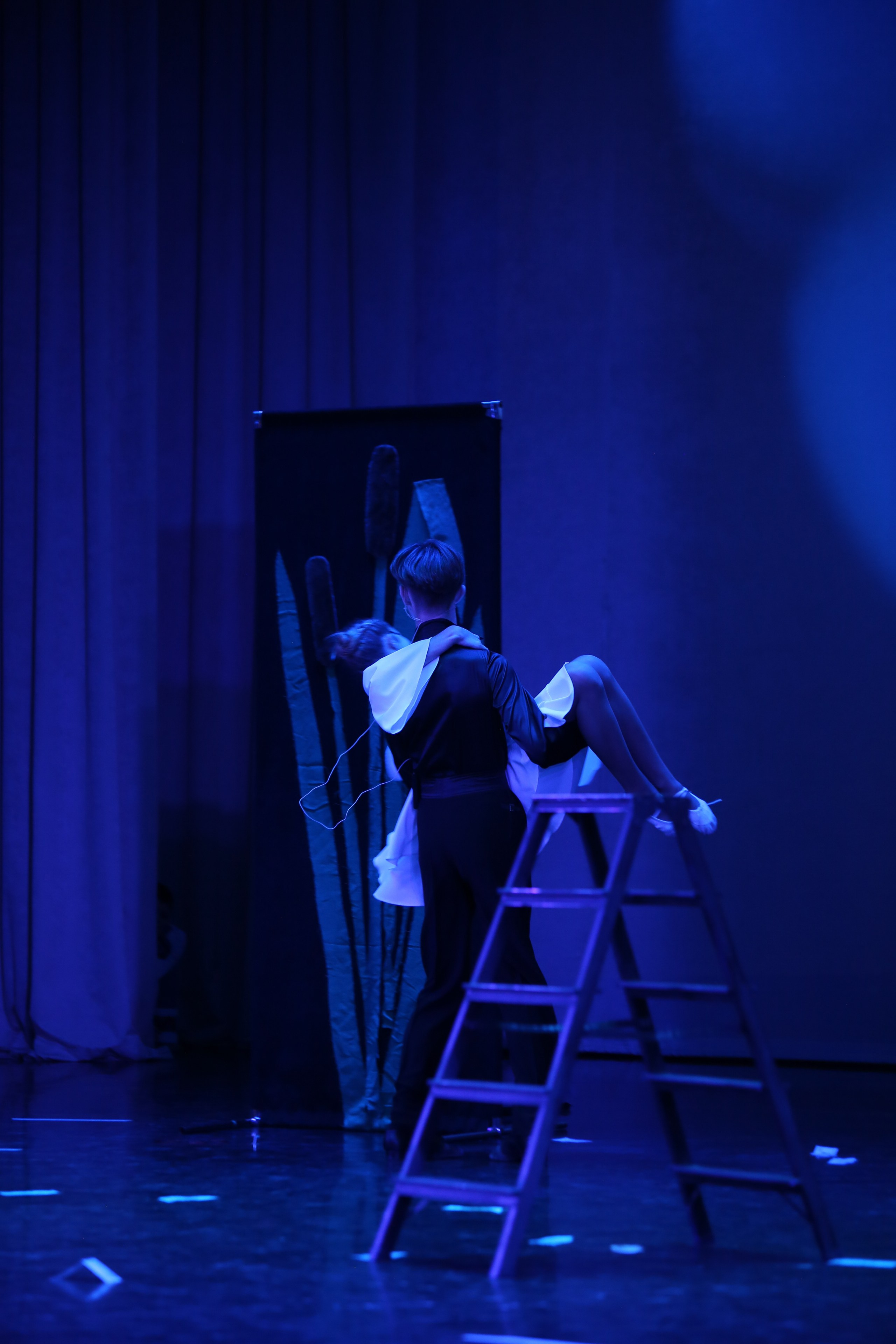 ТС ФАНТАЗИЯ — БЕНЕФИС 25 ЛЕТ. Профессиональный фотограф в Мценске и Орловской области